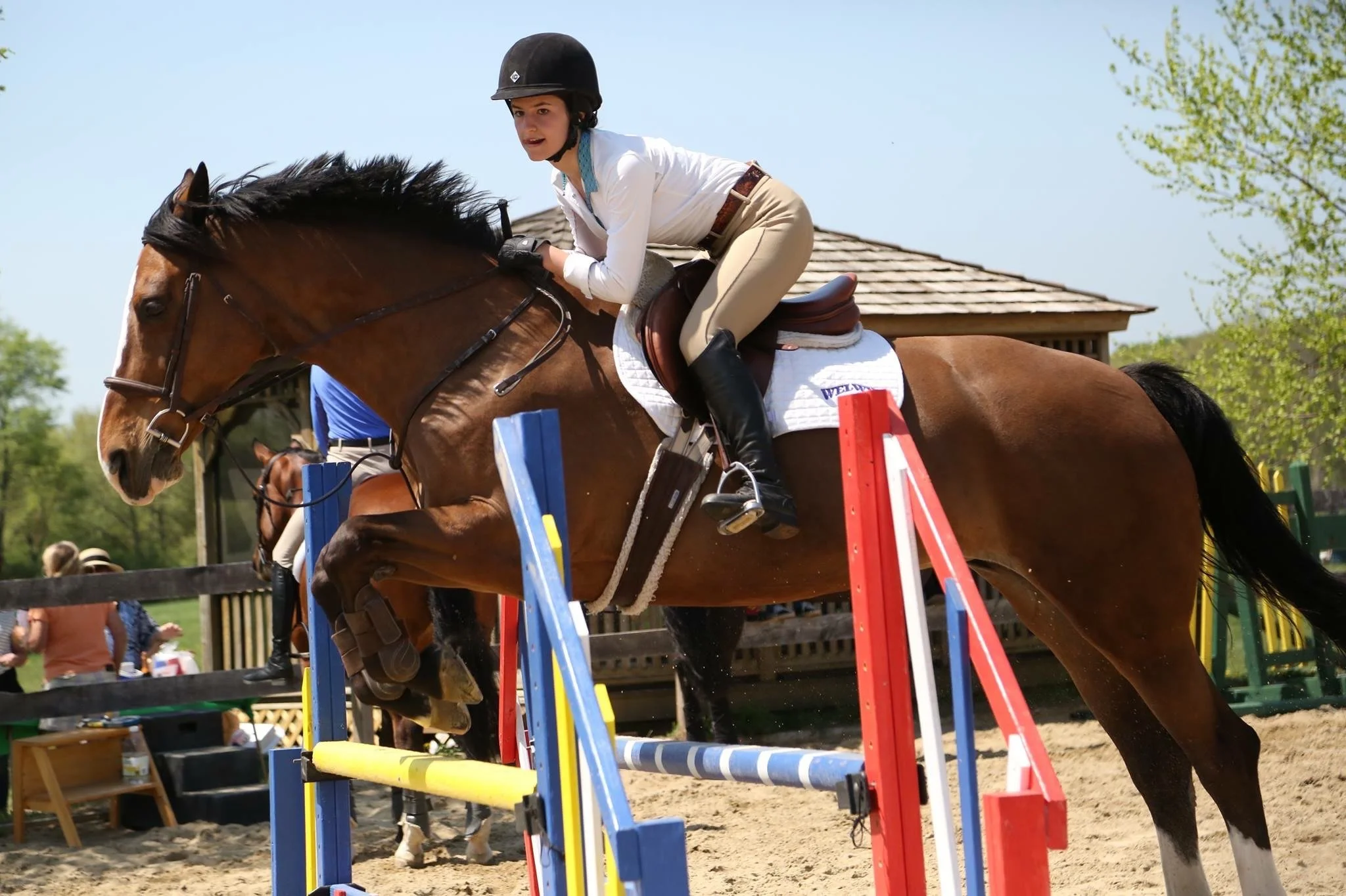 Young woman wearing a helmet and riding beige riding pants, jumping over a colorful obstacle on a brown horse during an equestrian event.