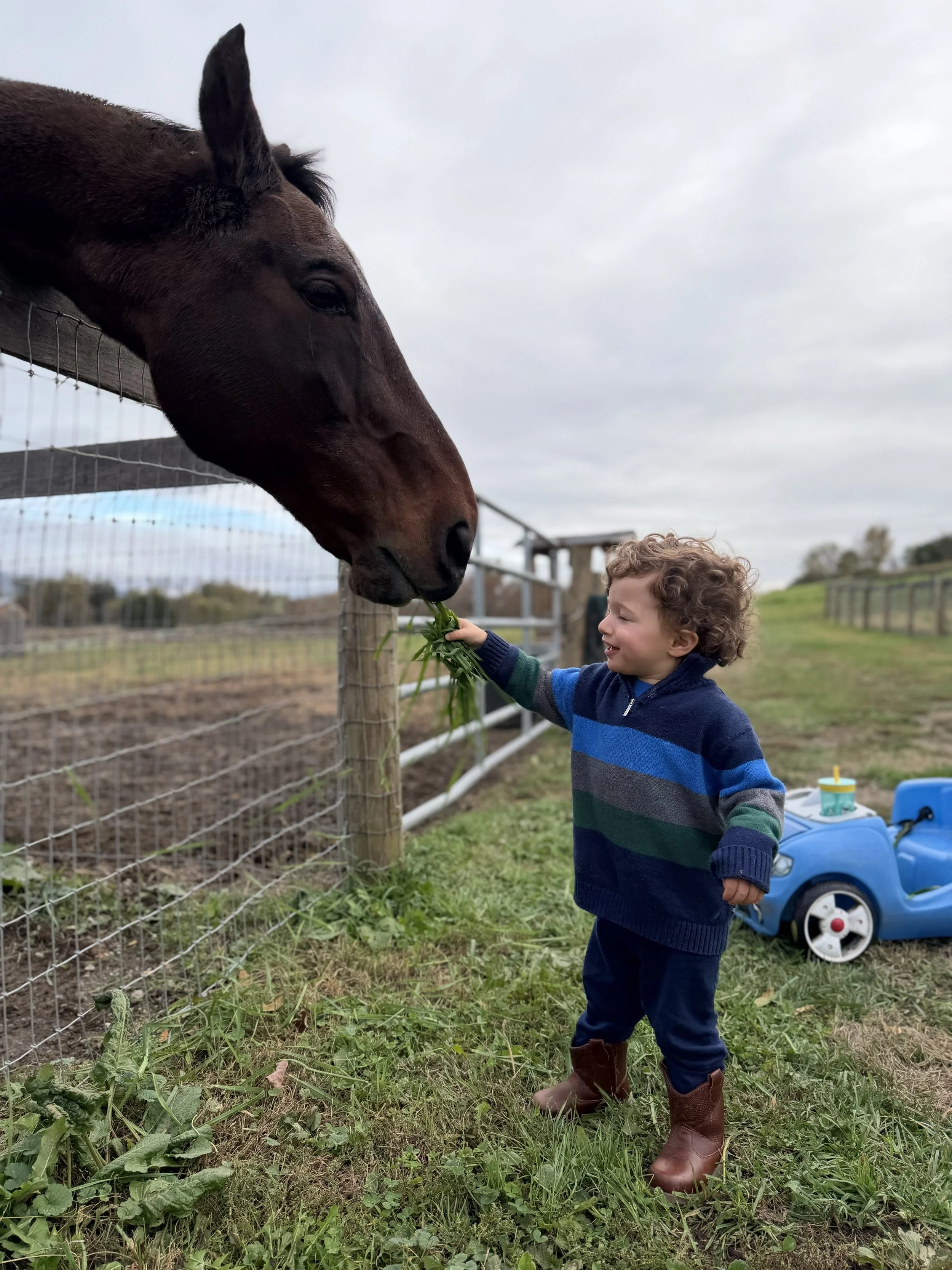 A young child feeding a horse with greens at a farm. The child is smiling, wearing a striped sweater and boots. There is a blue toy car with a cup on top in the background.