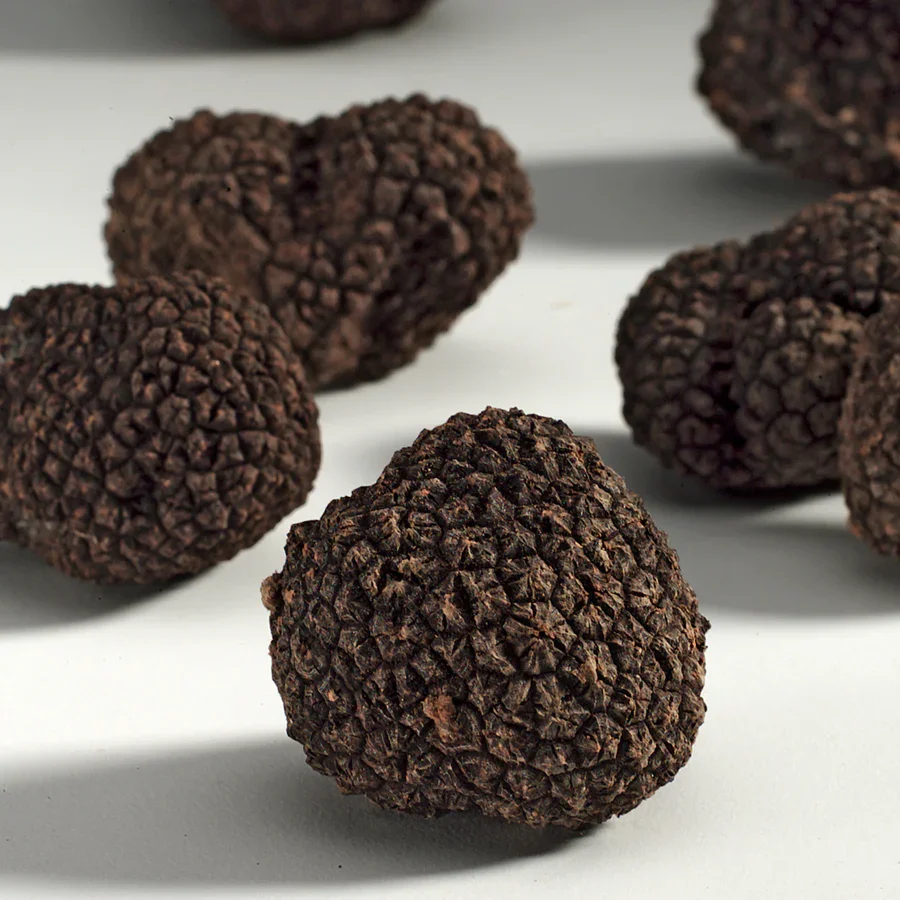 truffe_3_900x.webp