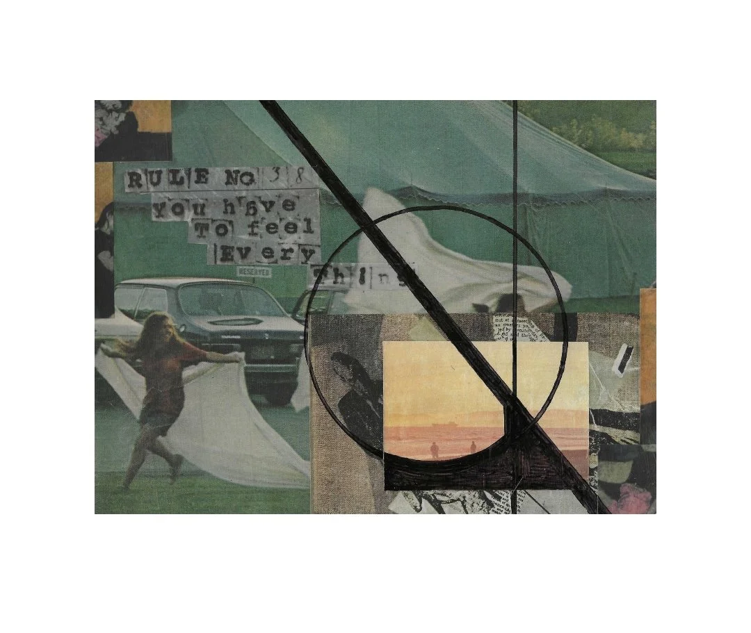 moyehoneyman_dani_rule_number_38_collage_landscape.jpg