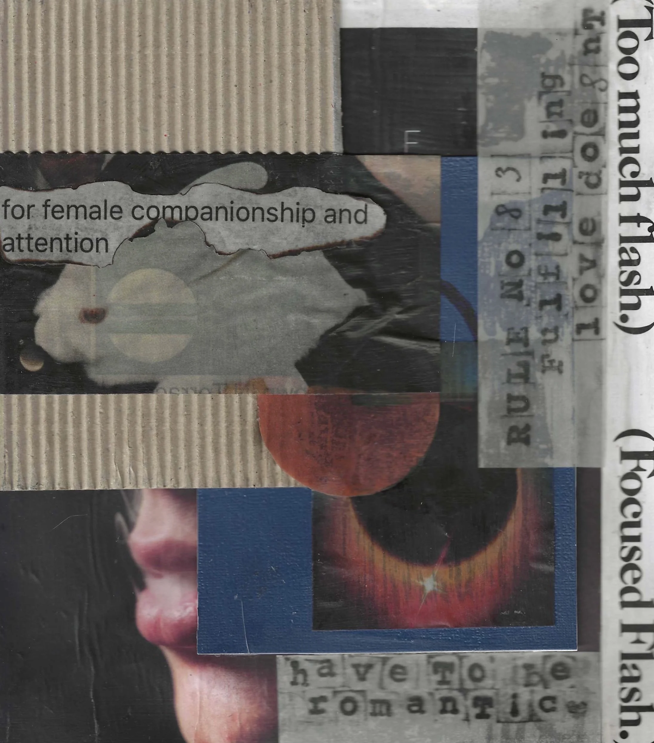 moyehoneyman_dani_rule_number_83_collage.jpg