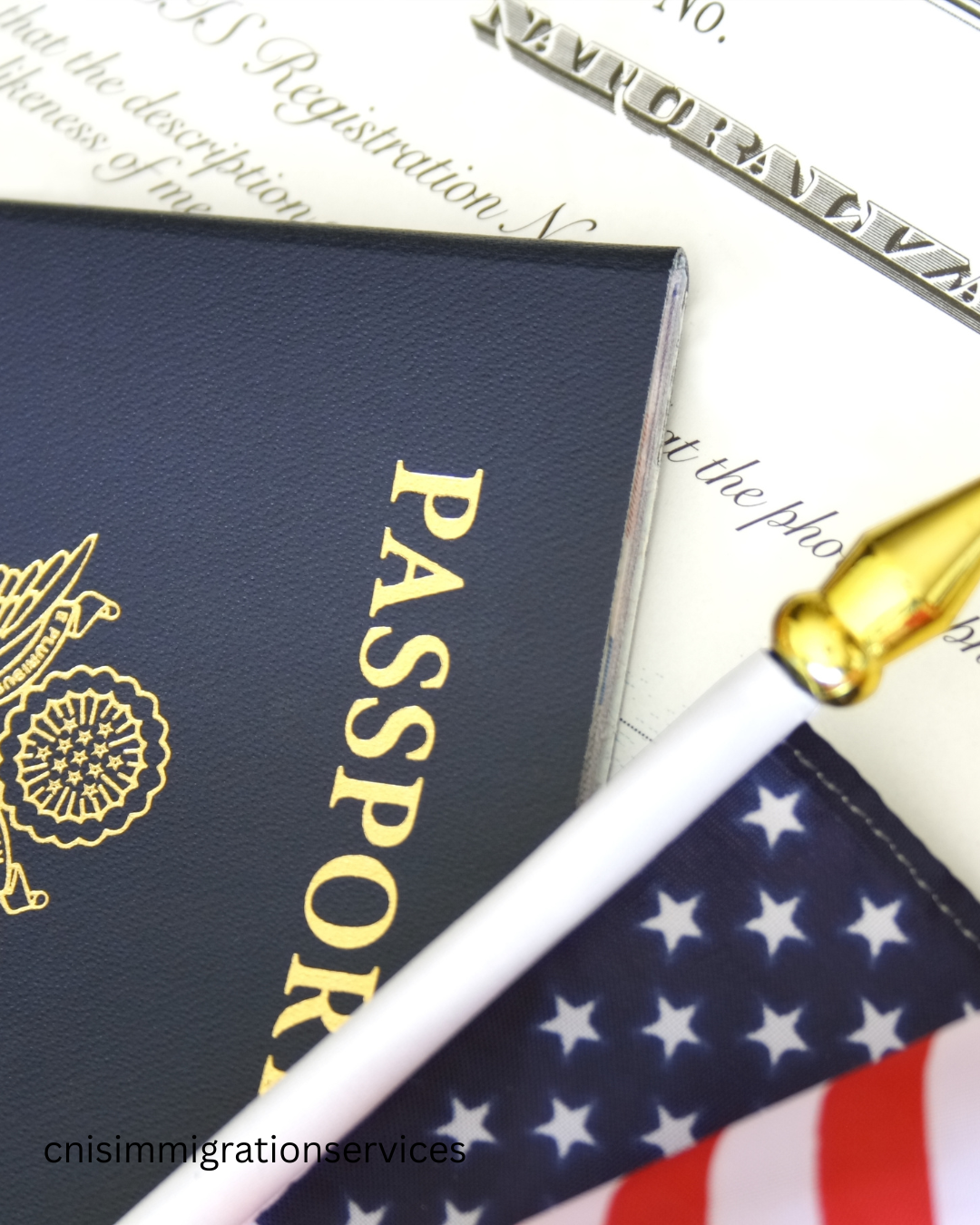 Naturalization (N-400)