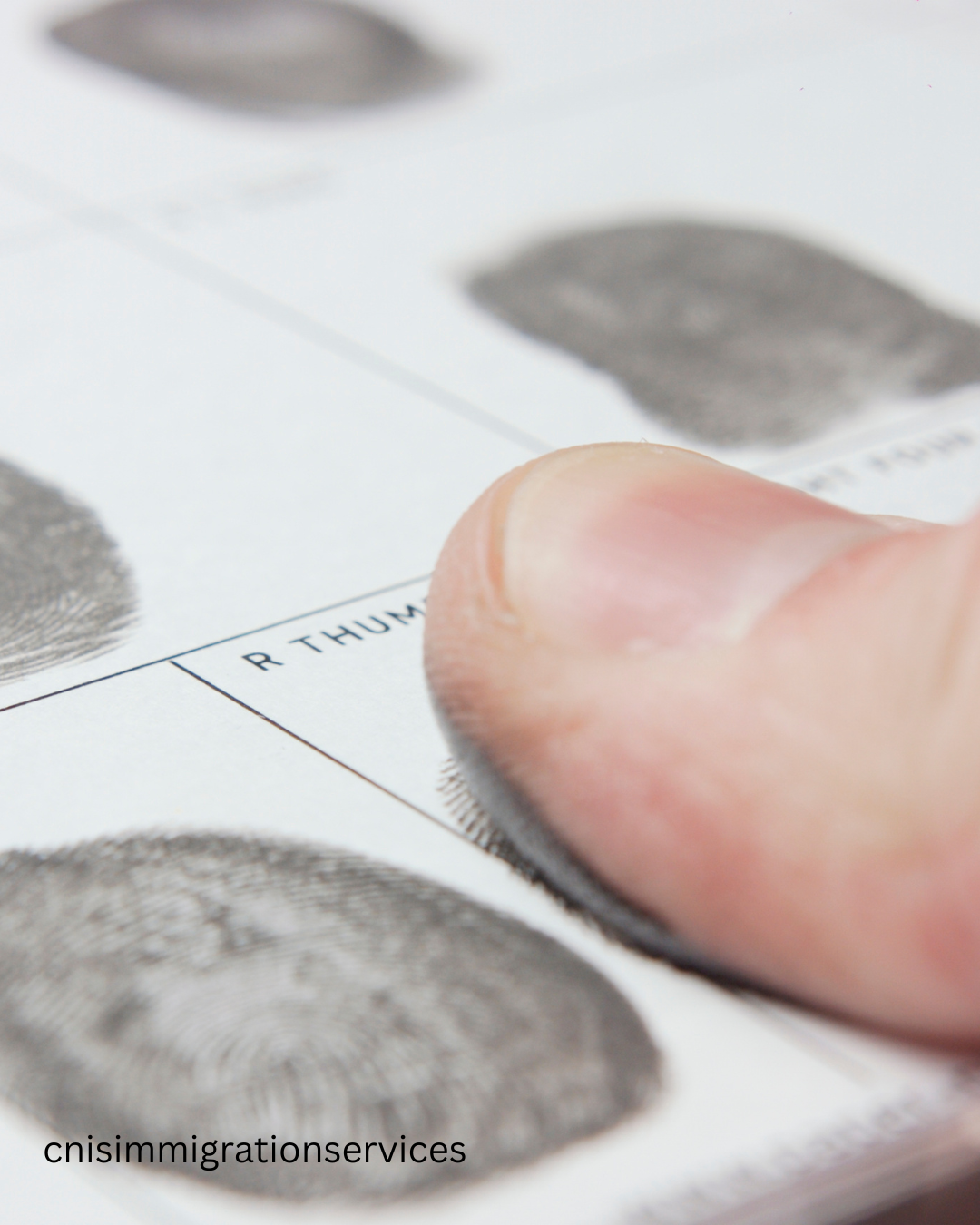 FBI Background Check Request