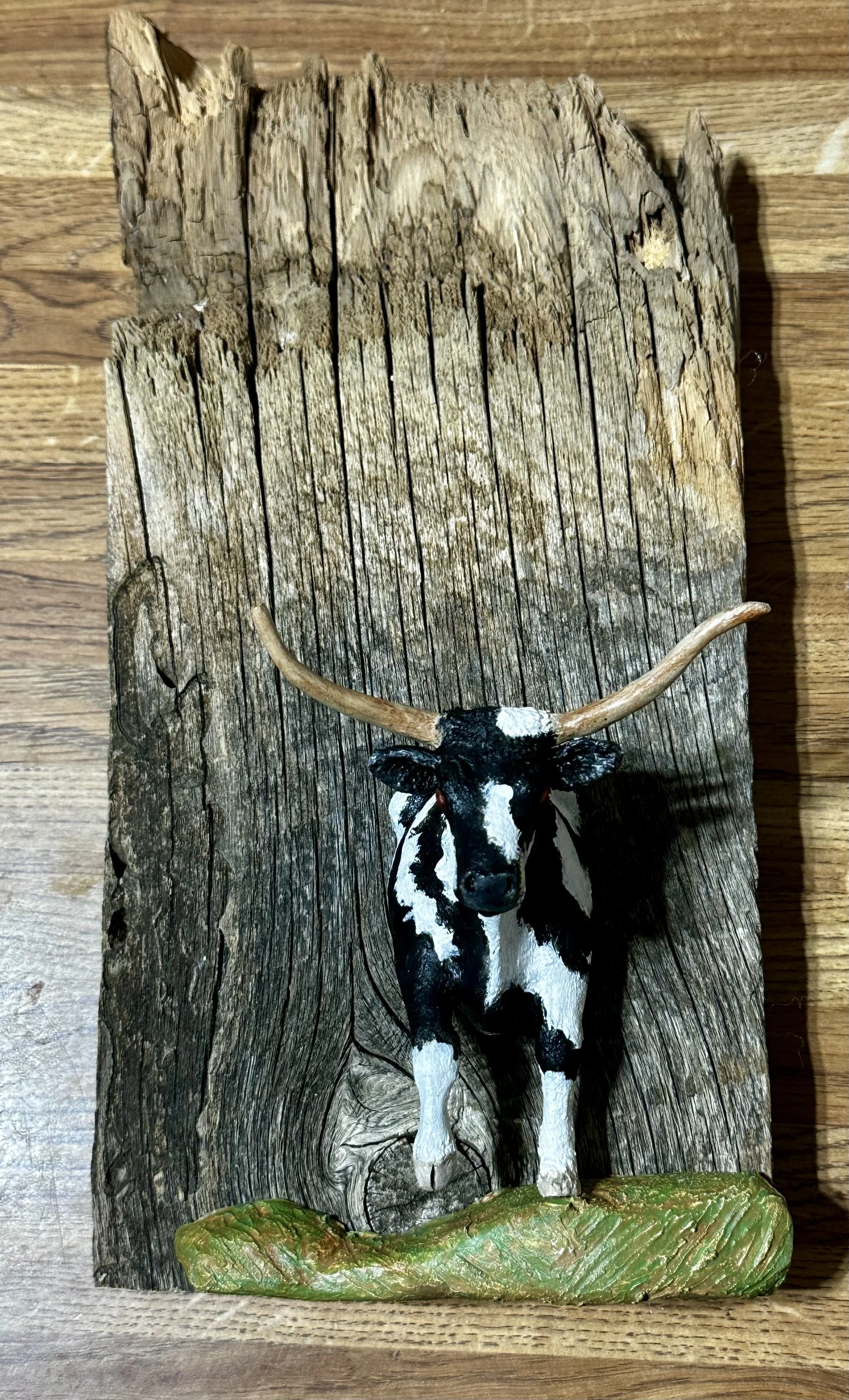 "Black & White Longhorn"