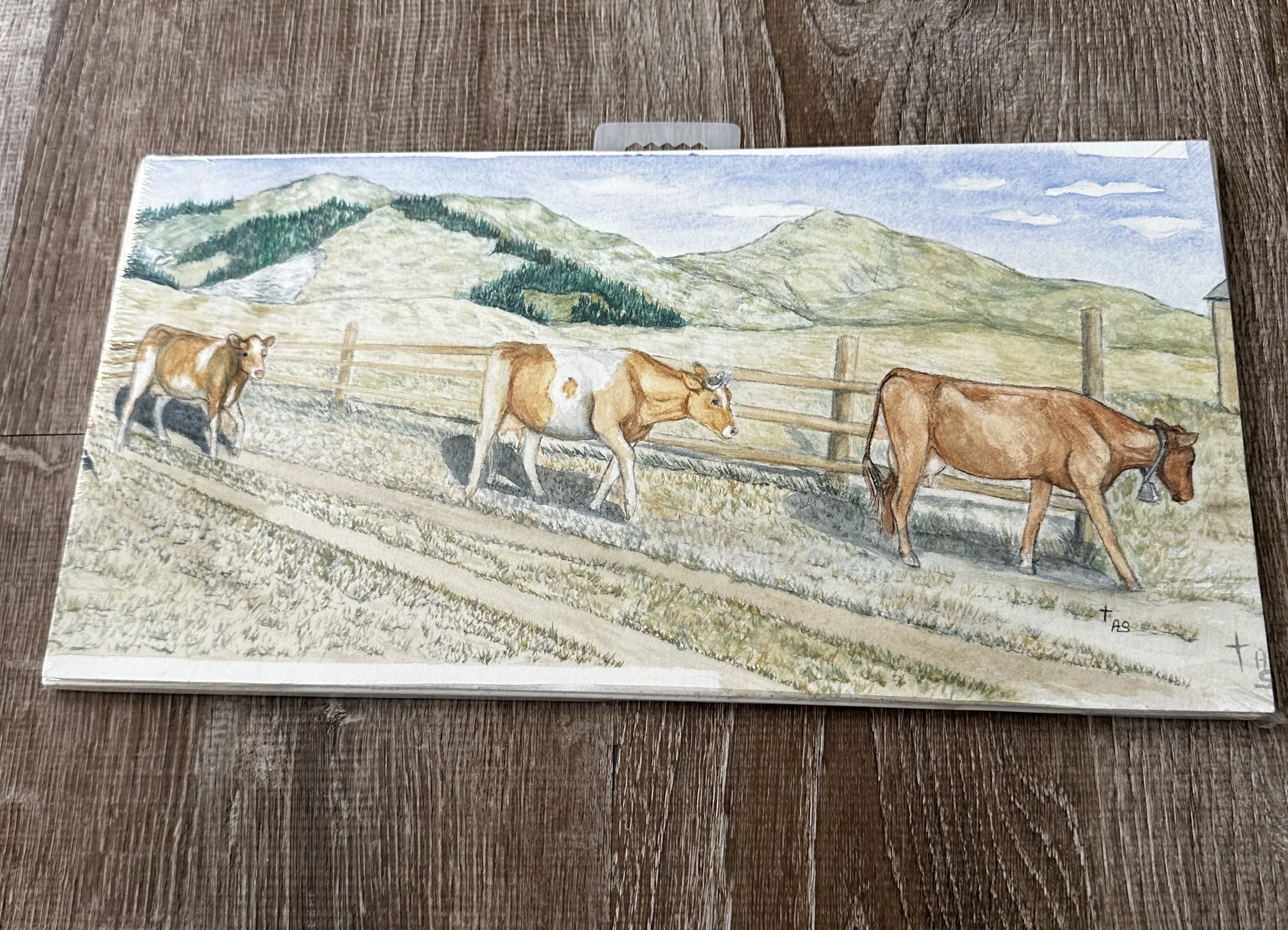 "Diary Cows Coming Home"