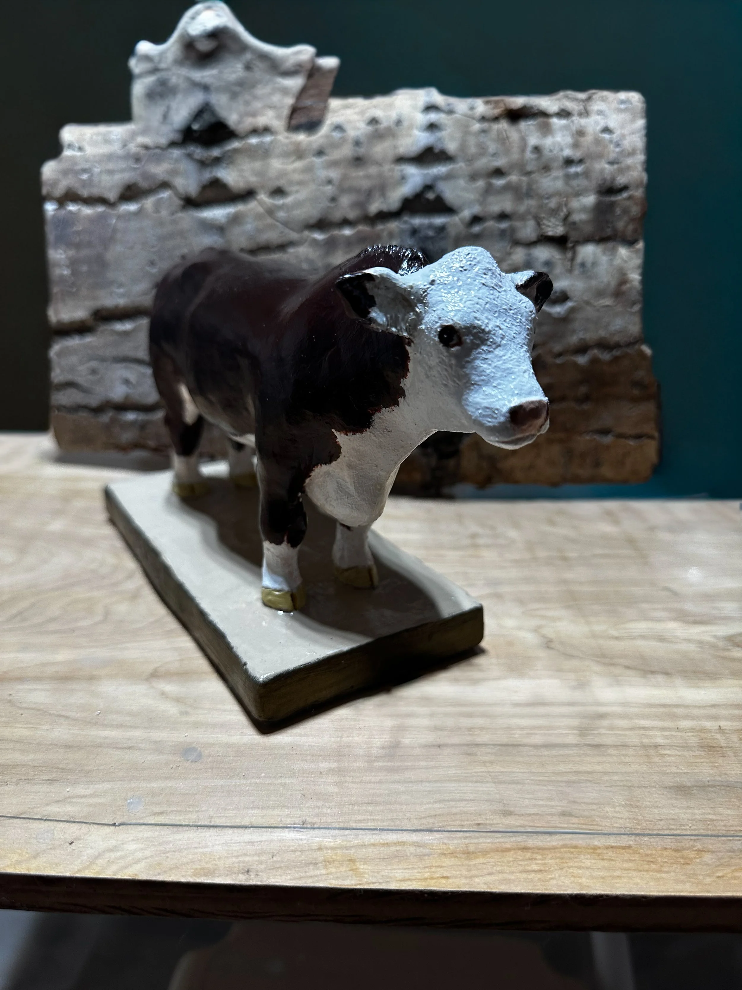 "Polled Hereford Bull"