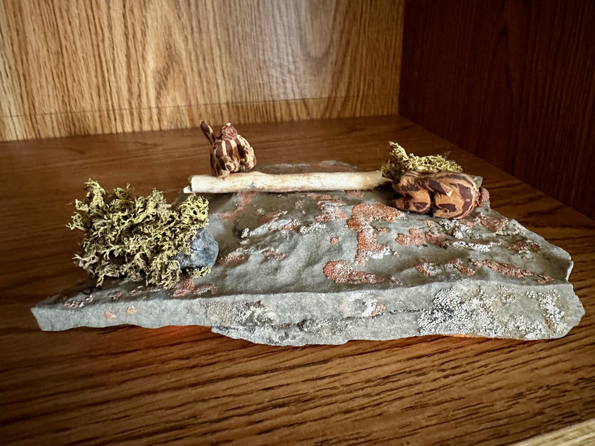 "Rabbits on Woodland Log"