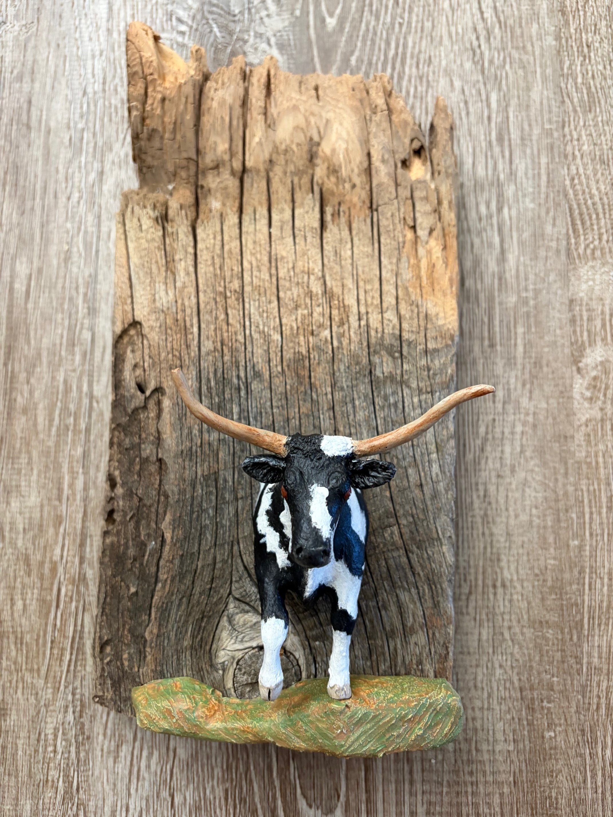 "Black & White Longhorn"
