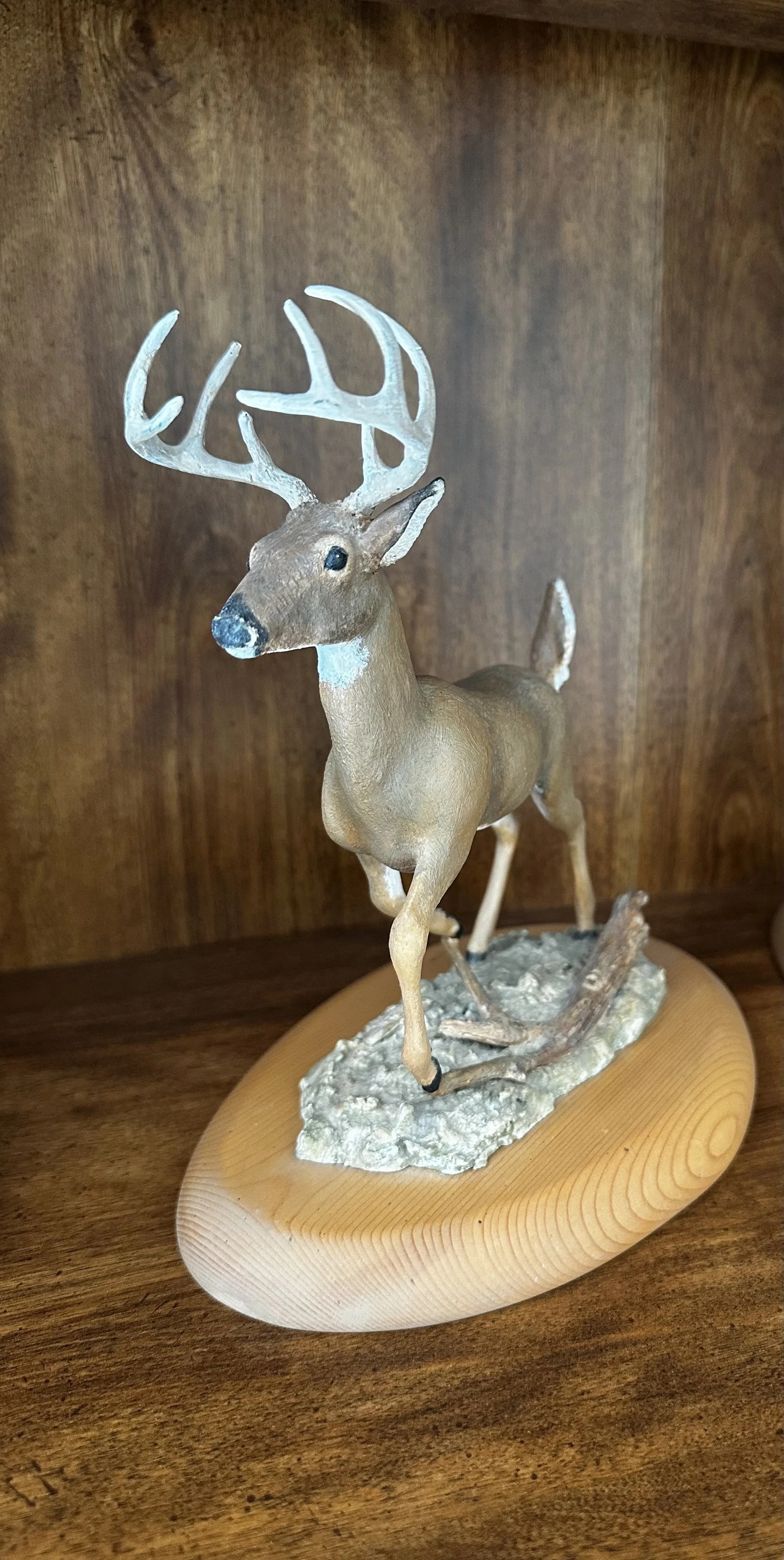 "White-Tail Deer"