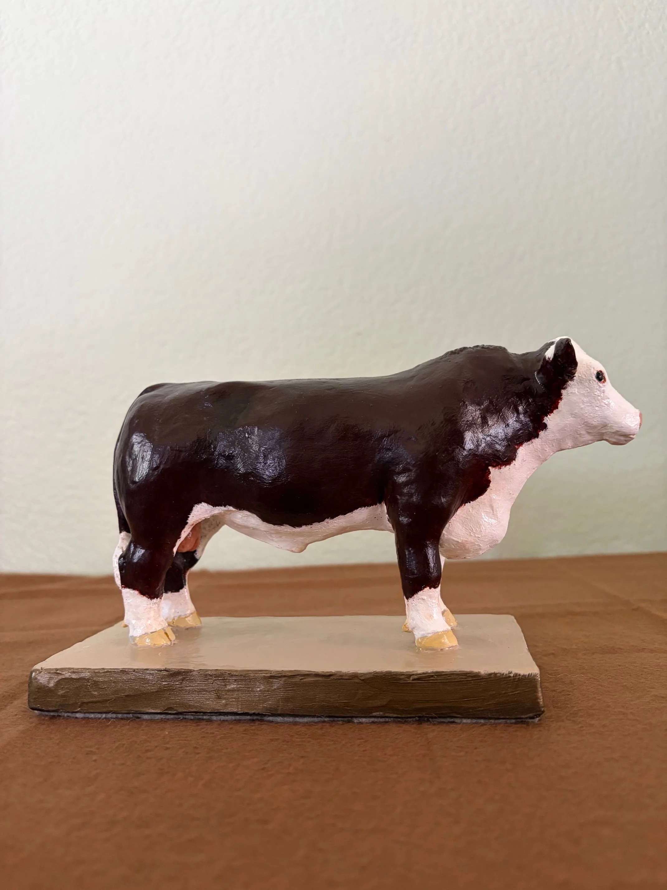 "Polled Hereford Bull"