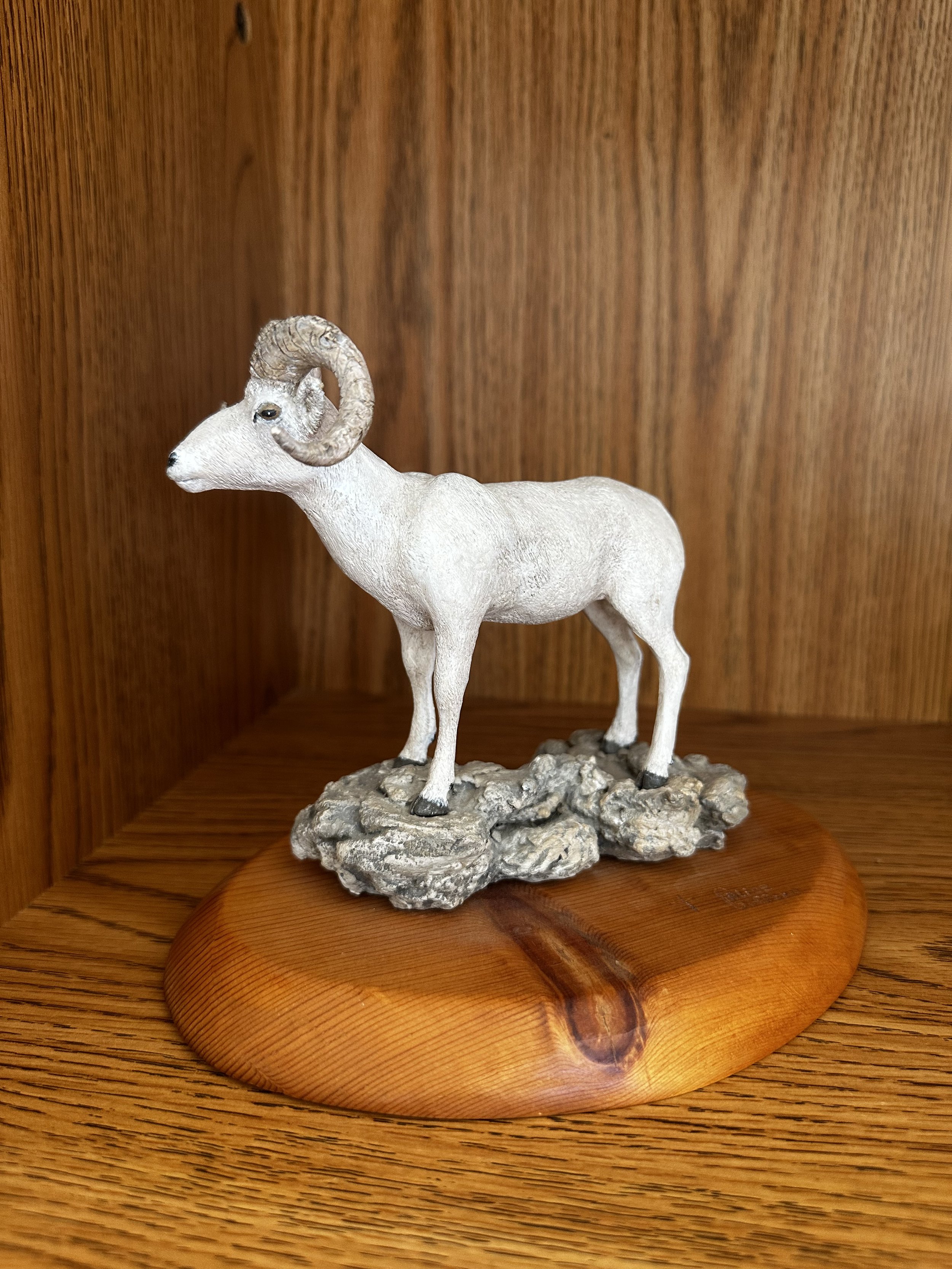 "Ram Dall Sheep"