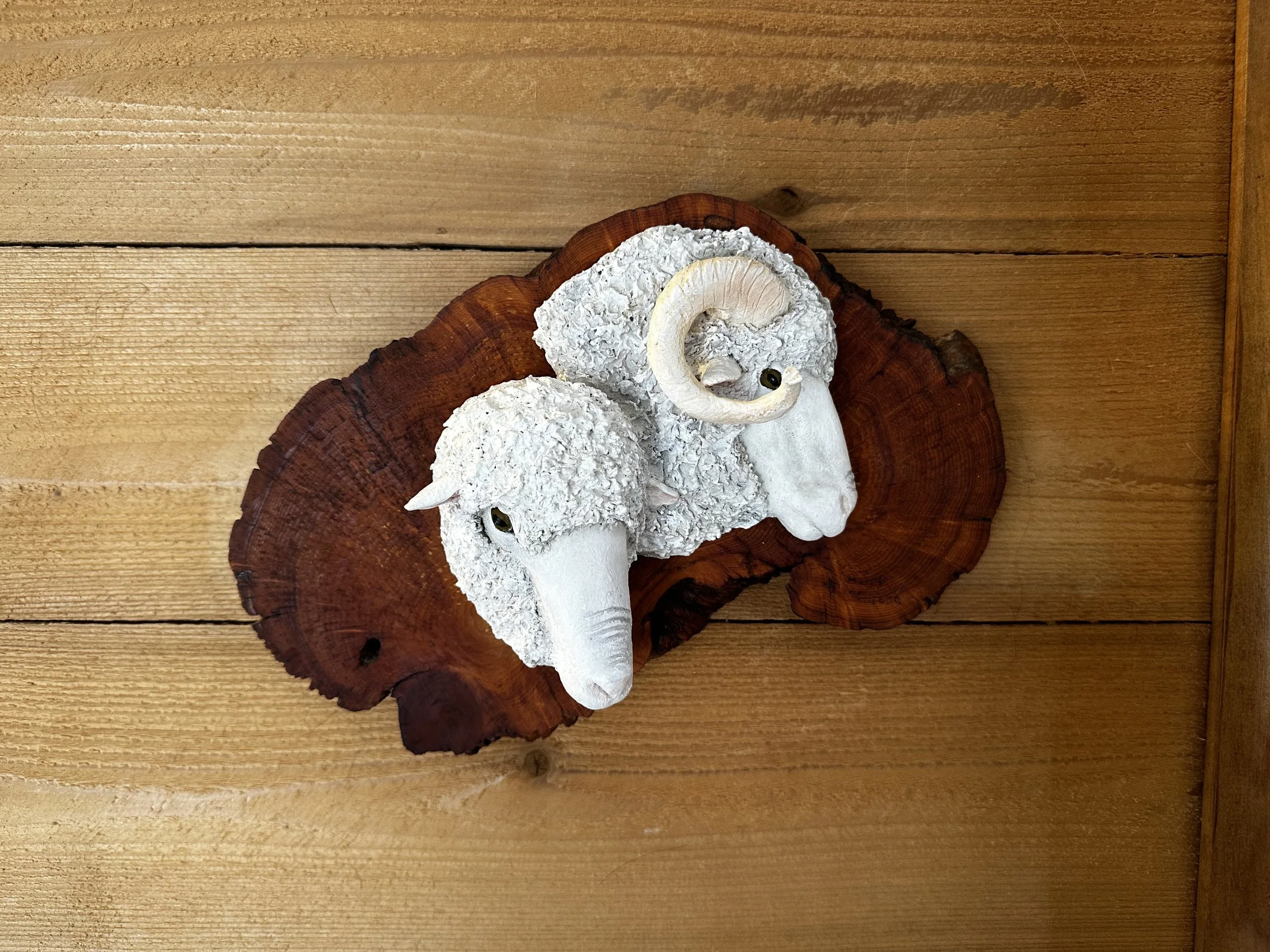 "Rambouillet Sheep Ewe & Ram"