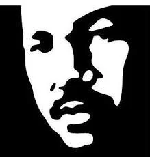 Silhouette of a person's face with high contrast black and white.