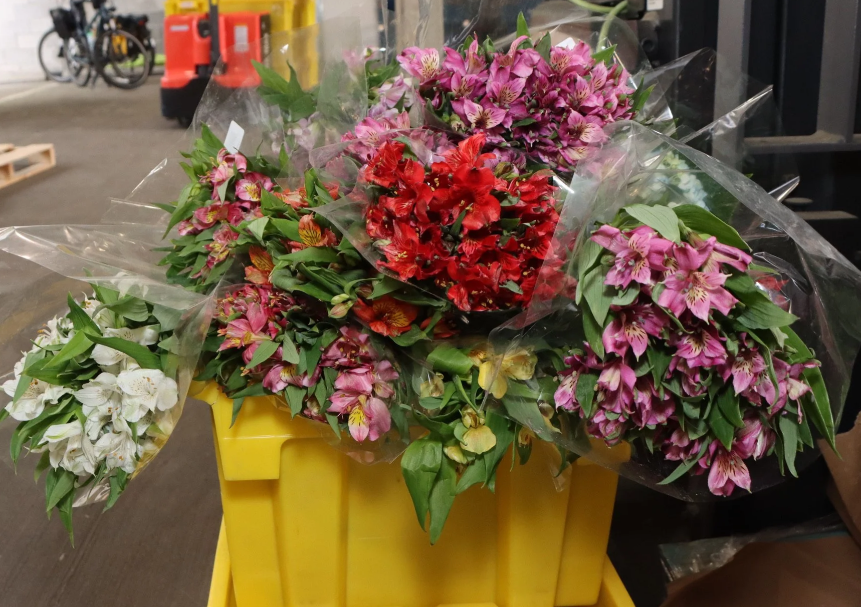 Various bouquets of pink, red, and white flowers with green leaves, wrapped in plastic, placed in a yellow container in what appears to be a warehouse or store setting.