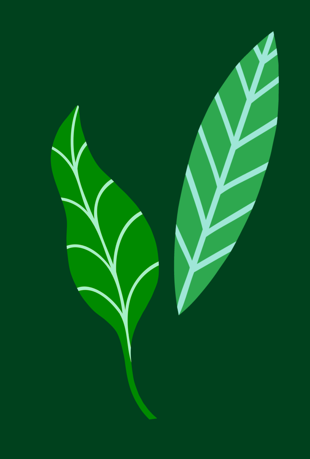 Stylized green leaves with white vein patterns on a dark green background.