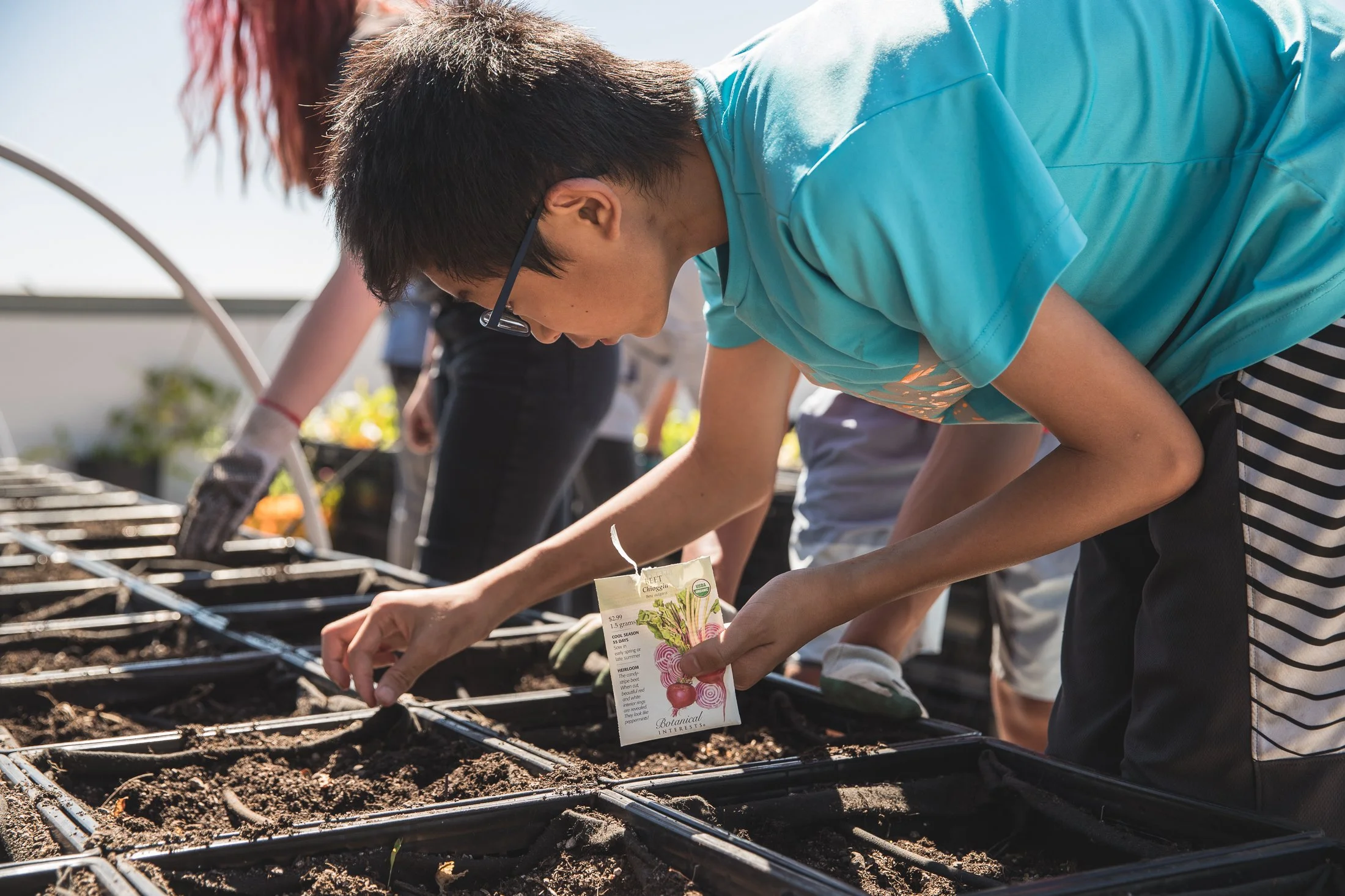 People planting seedlings in a garden bed, with one person holding a seed packet with a radish image.