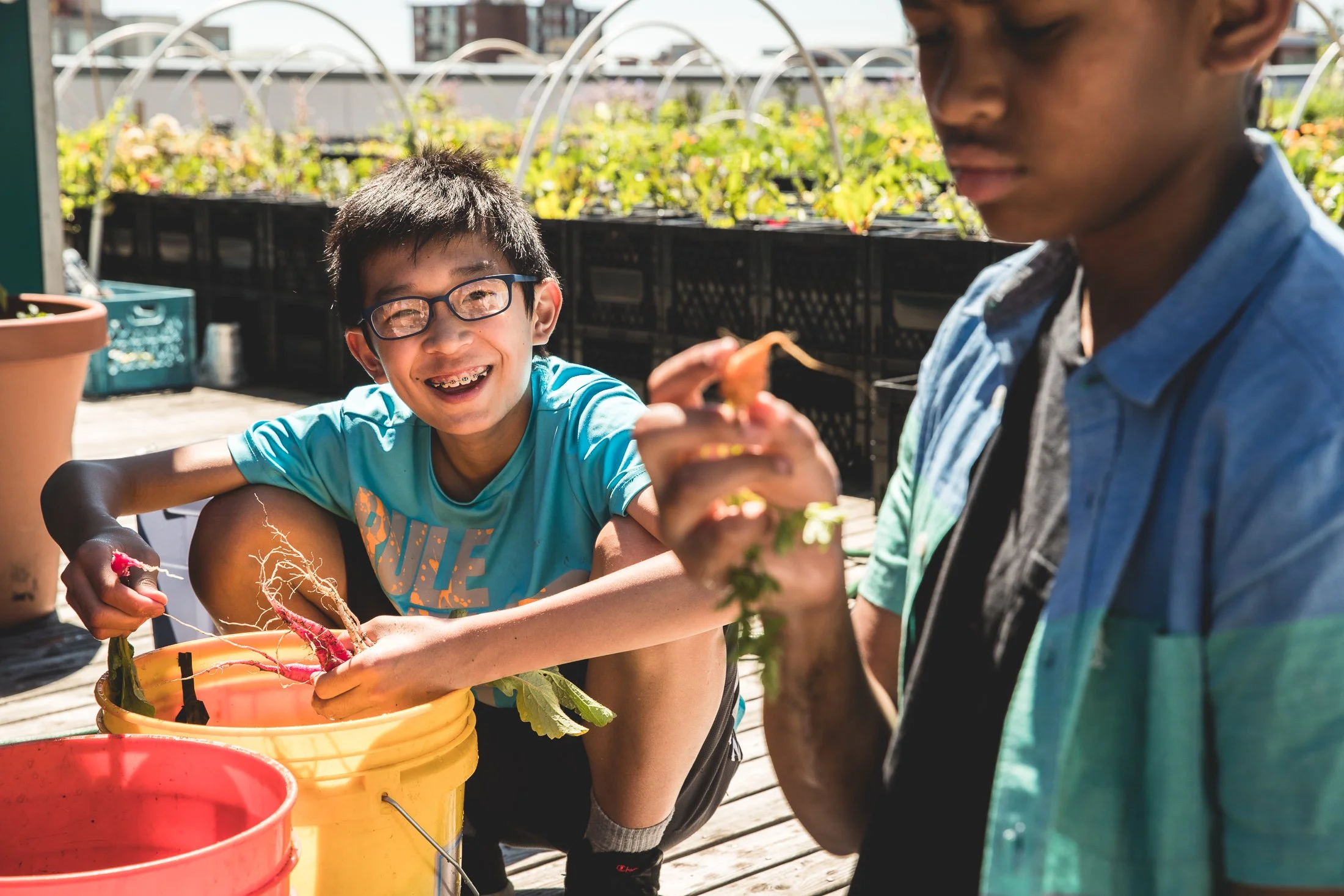 A boy and a woman planting and harvesting vegetables together on a rooftop or balcony garden, with potted plants and city buildings in the background.