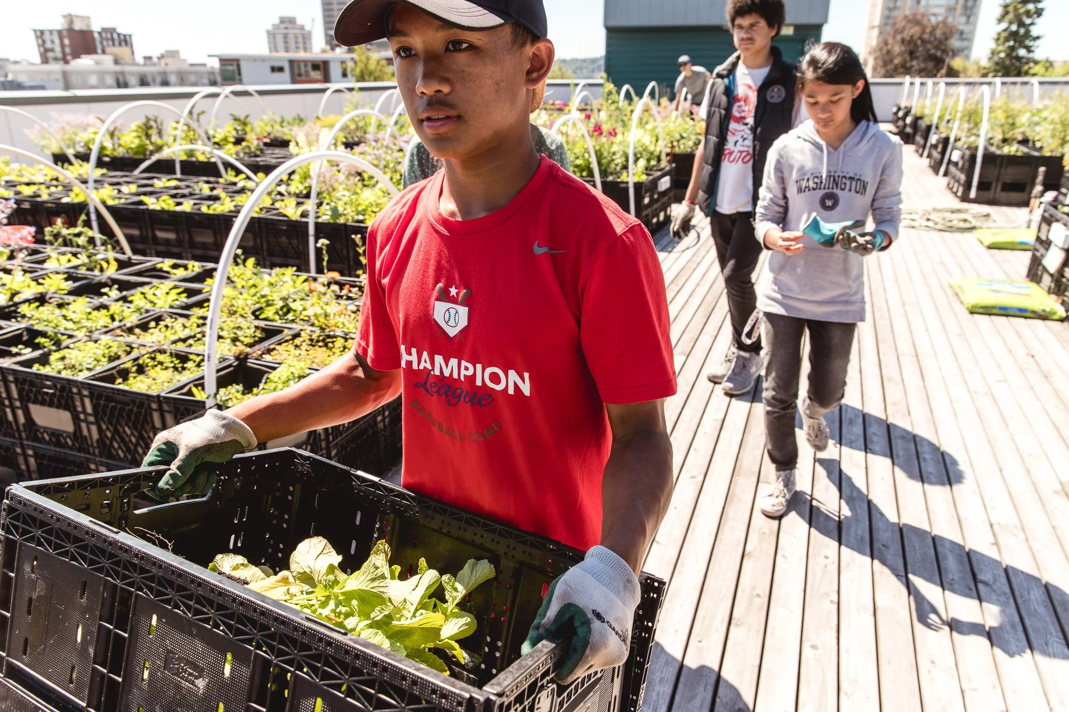 A group of young people on a rooftop garden with potted plants and growing vegetables, working together in daylight.