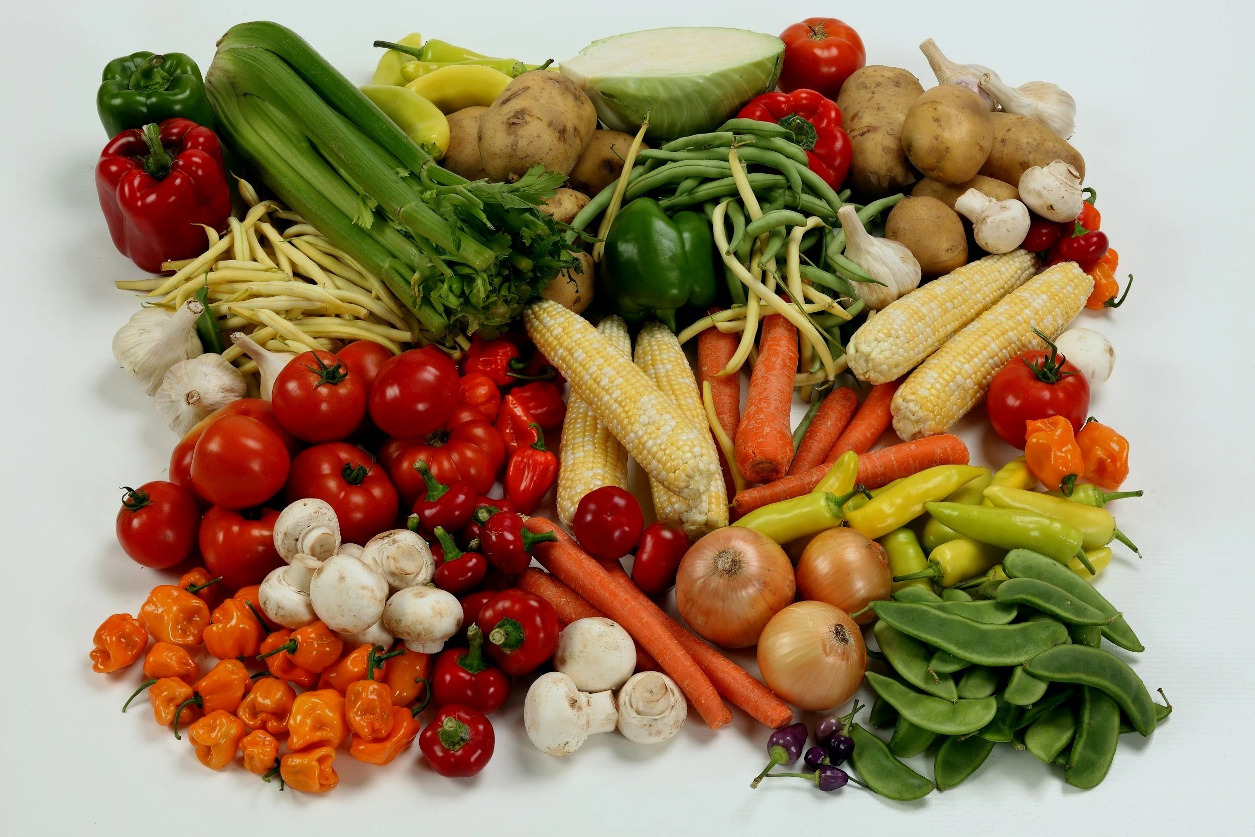 Assorted fresh vegetables including red and green bell peppers, tomatoes, eggplants, garlic, onions, carrots, potatoes, green beans, corn on the cob, mushrooms, yellow and orange habanero peppers, and purple chili peppers, arranged on a white surface.