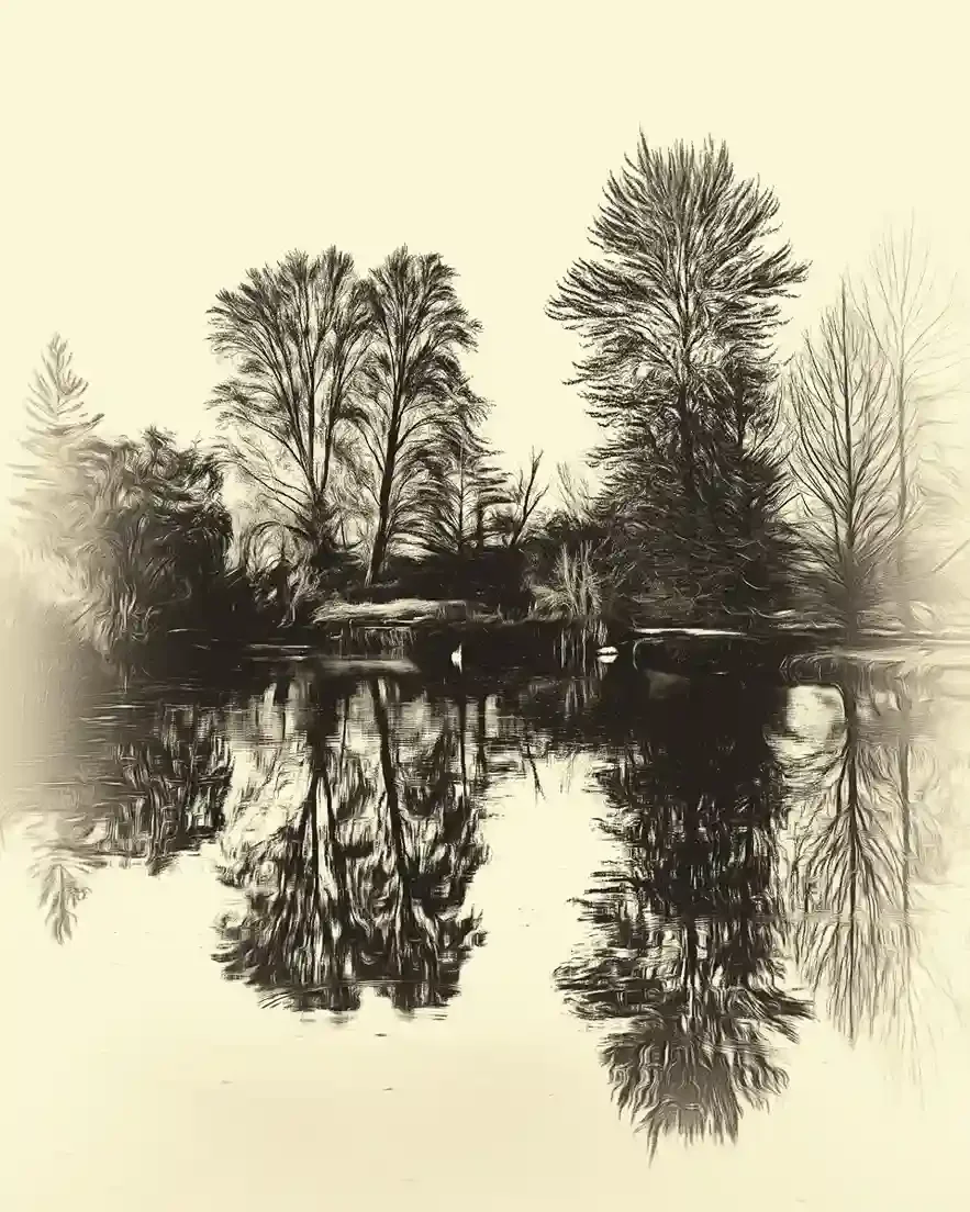 Reflections of Serenity