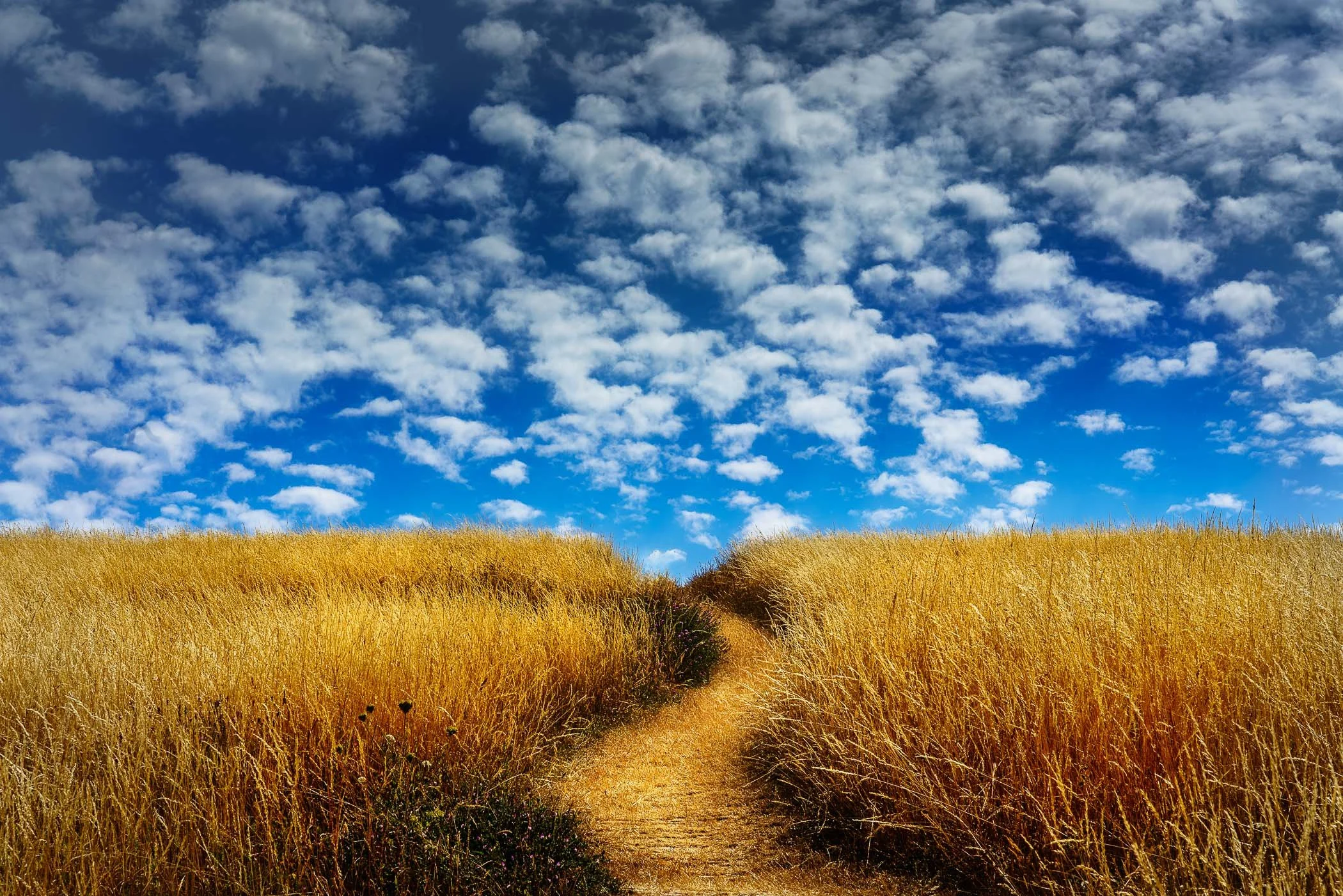the-path-fine-art-photograph-john-wright.jpg