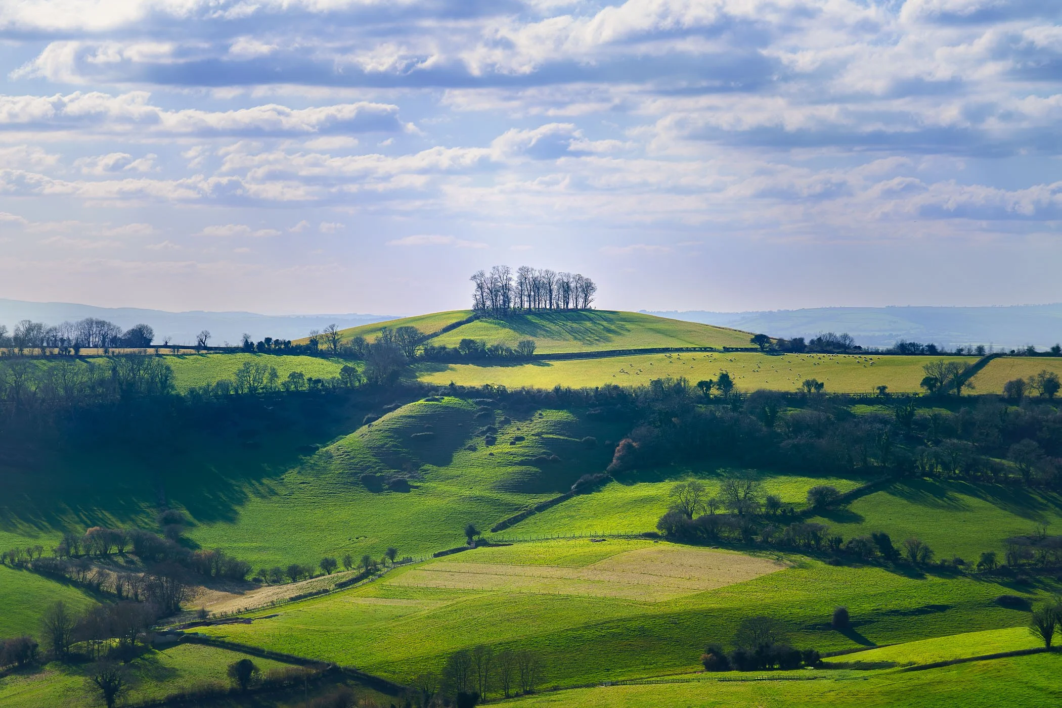 Trees on a Hill A landscape shot capturing the countryside hills overlooking the valley of Bath.