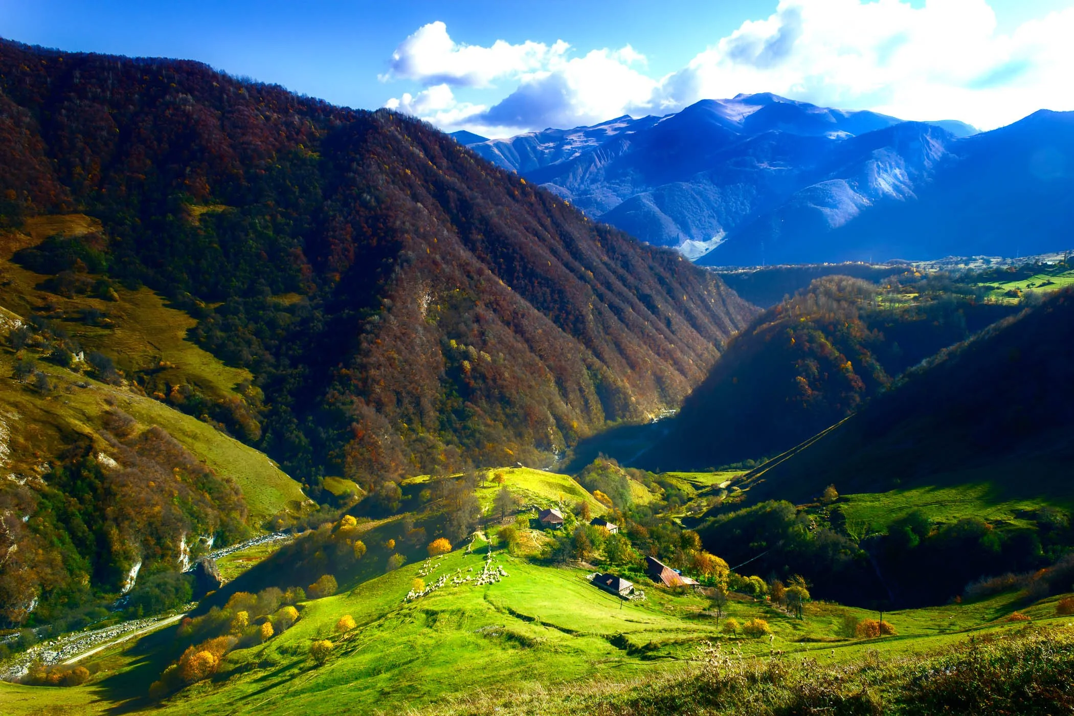 Autumn Serenity in the Valley of Kheda Rich golden leaves and peaceful woodland paths weaving through the tranquil valley landscape.