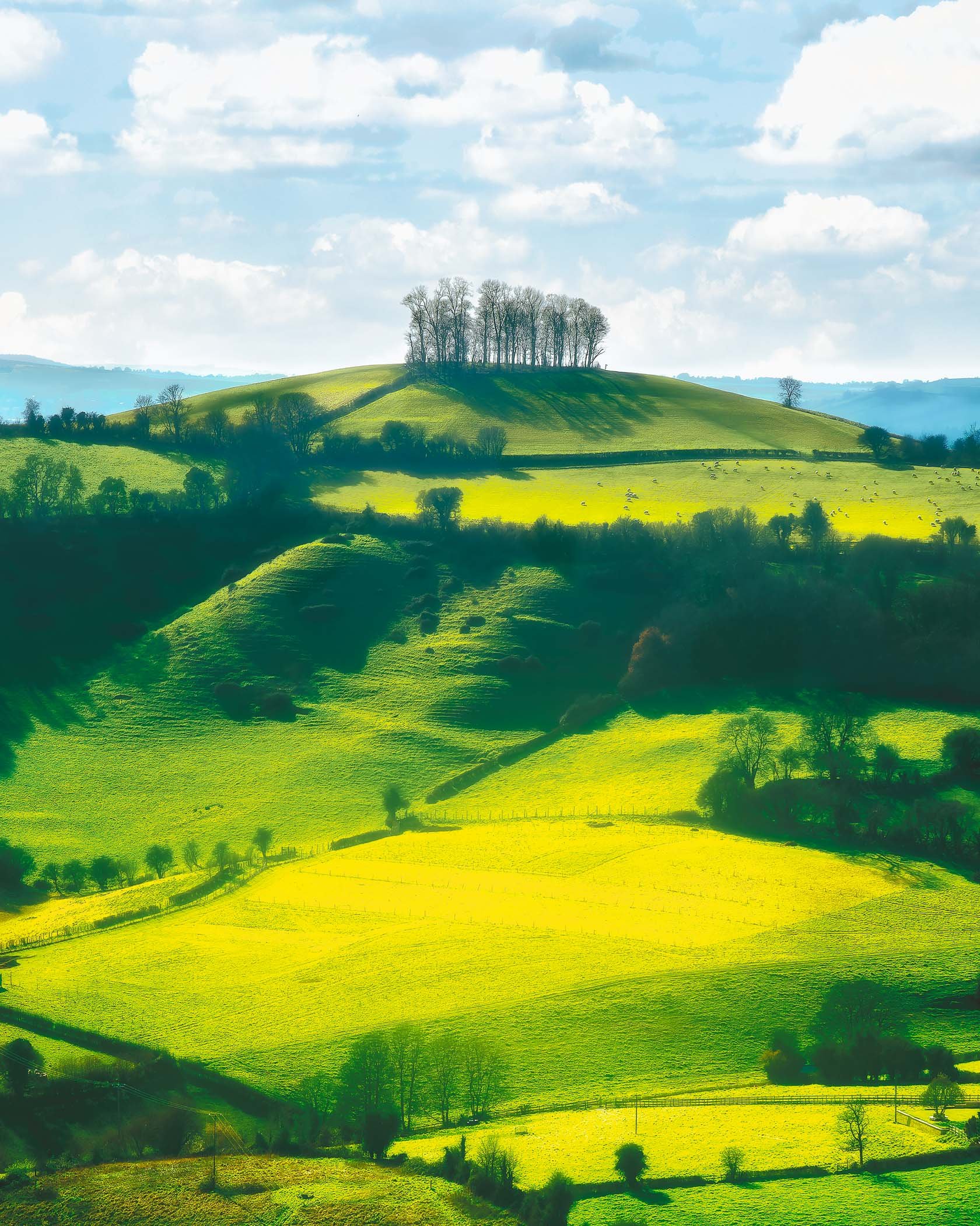 Golden Light Over Kelston Round Hill A scenic landscape view of Kelston Round Hill, situated just outside Bath, captured during golden hour.