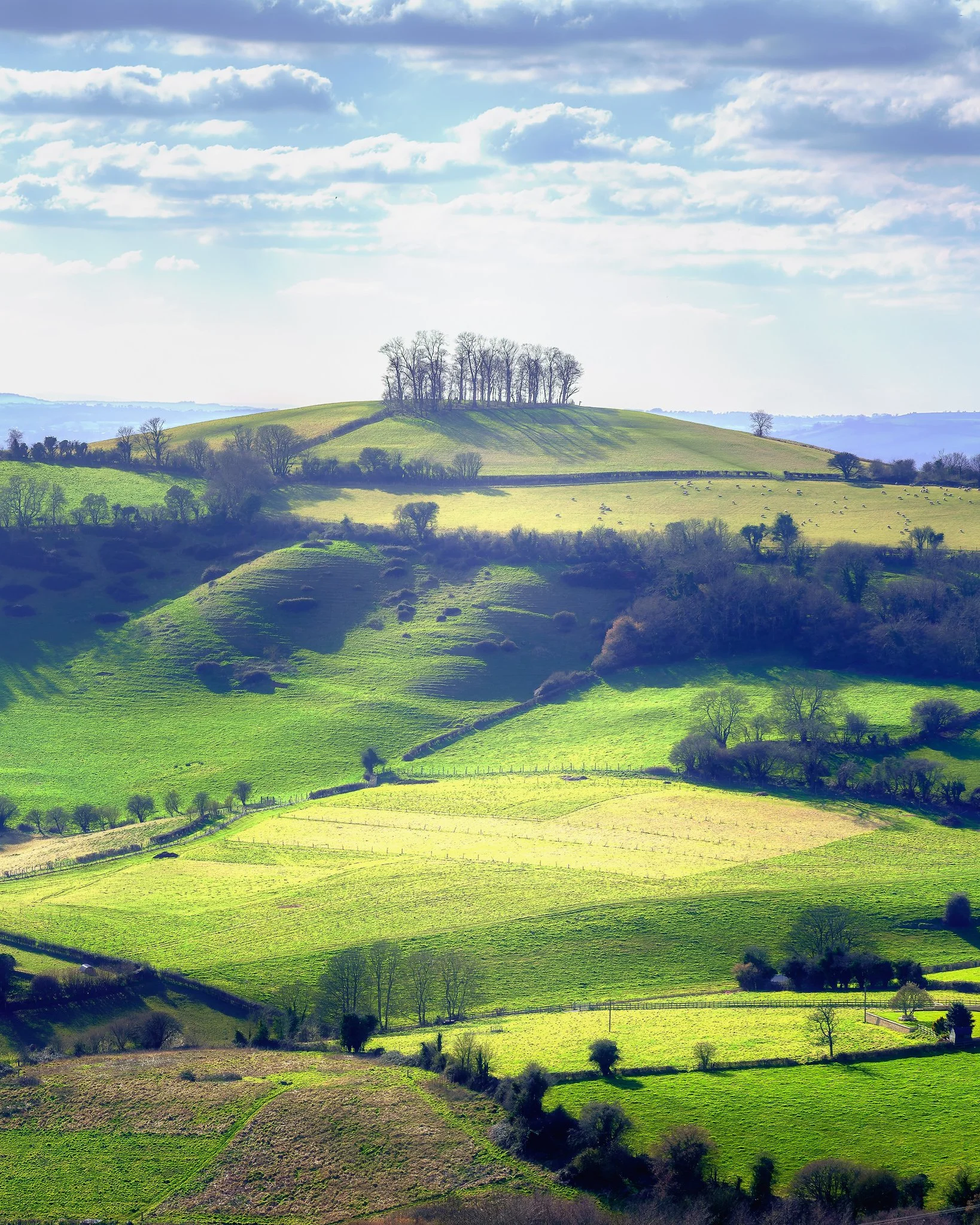Kelston Round Hill in early spring with golden morning light illuminating layered green fields and tree silhouettes.