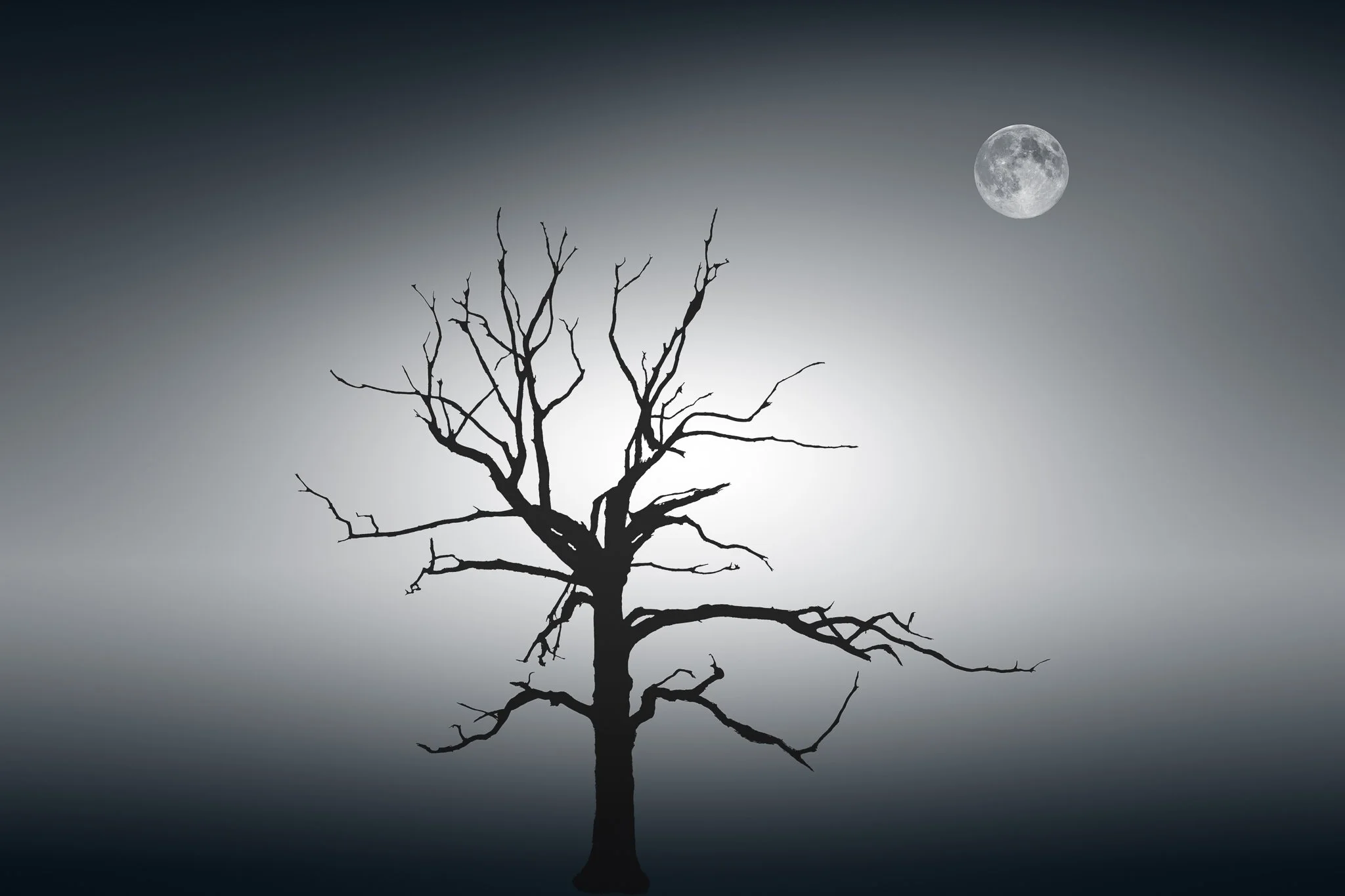 solitary-silhouette-beneath-moon.jpg