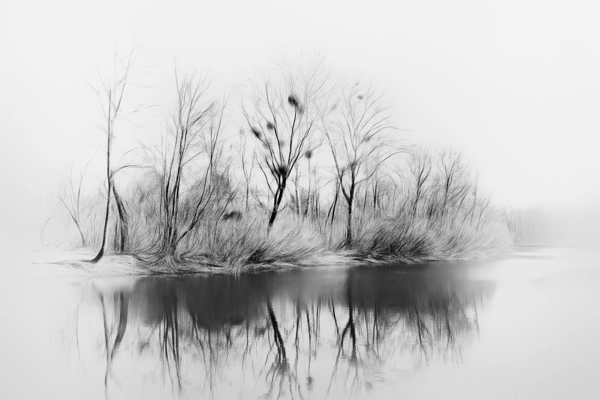 trykhaniv-island-kyiv-trees-reflection-monochrome-fine-art-photography-john-wright.jpg
