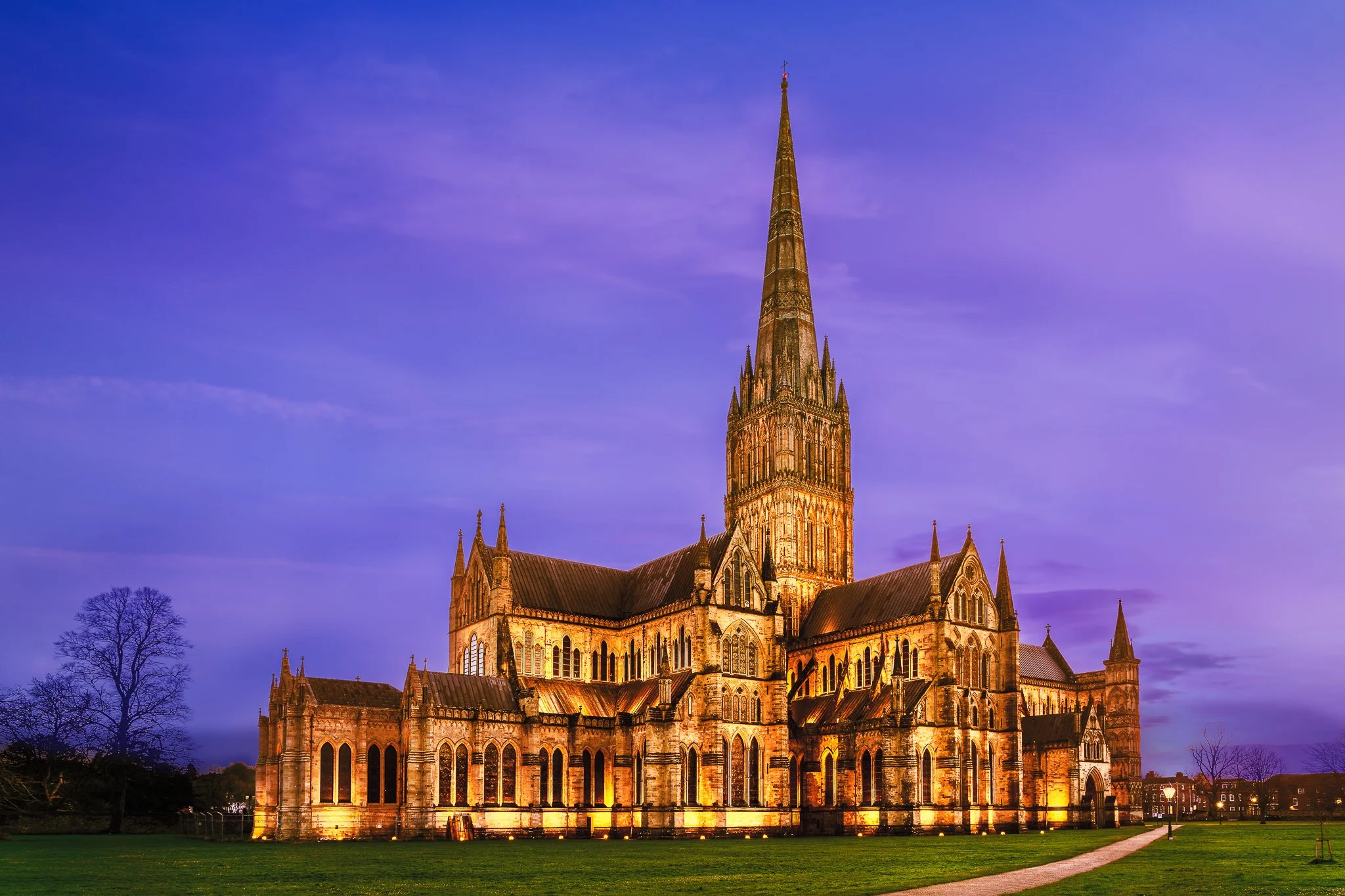 Salisbury cathedral illuminated at night with a pointed spire against a purple sky, with trees and a grassy area in the foreground.