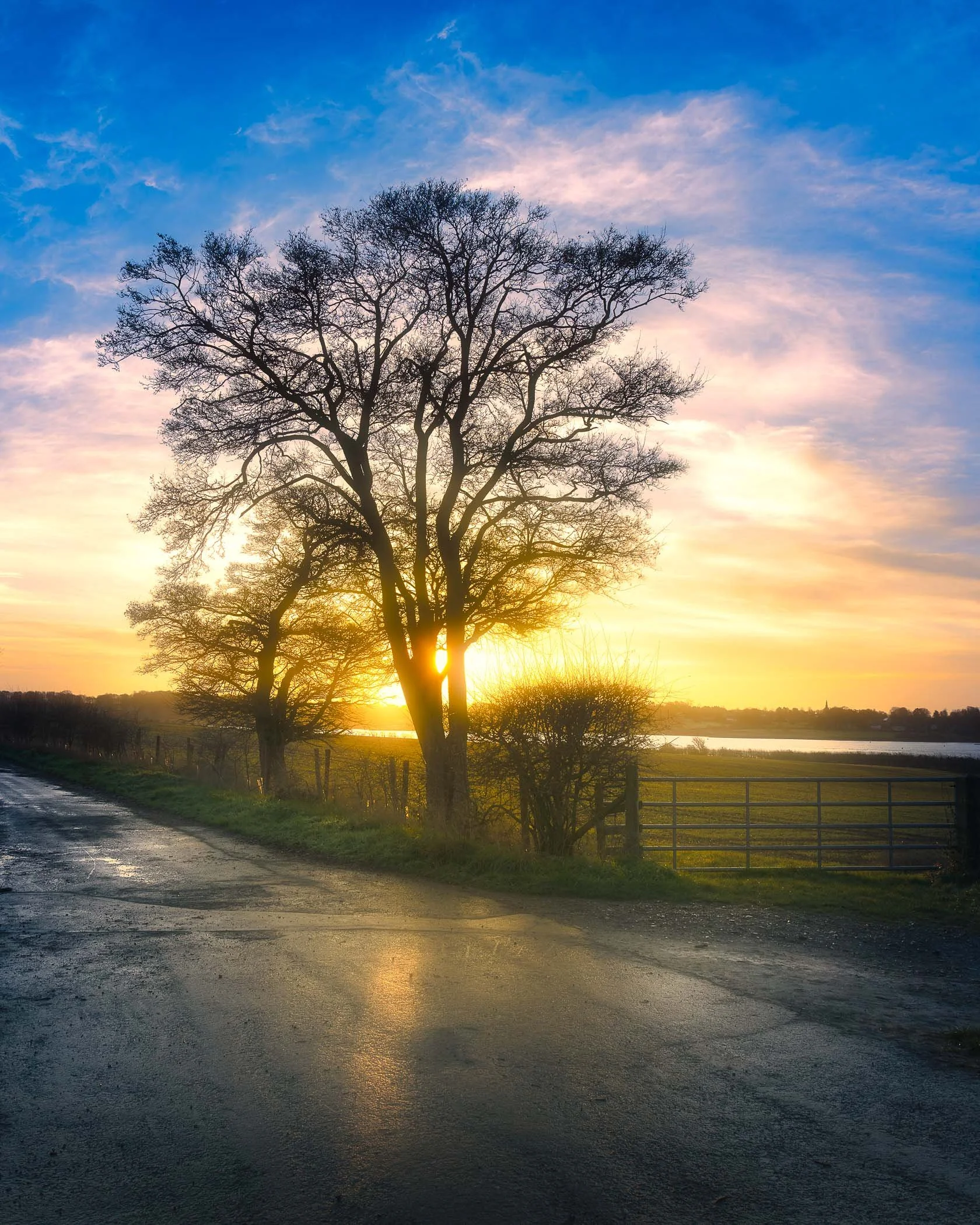 Sunrise Serenity Along the Country Road Gentle early morning light breaking through trees lining a quiet rural road.