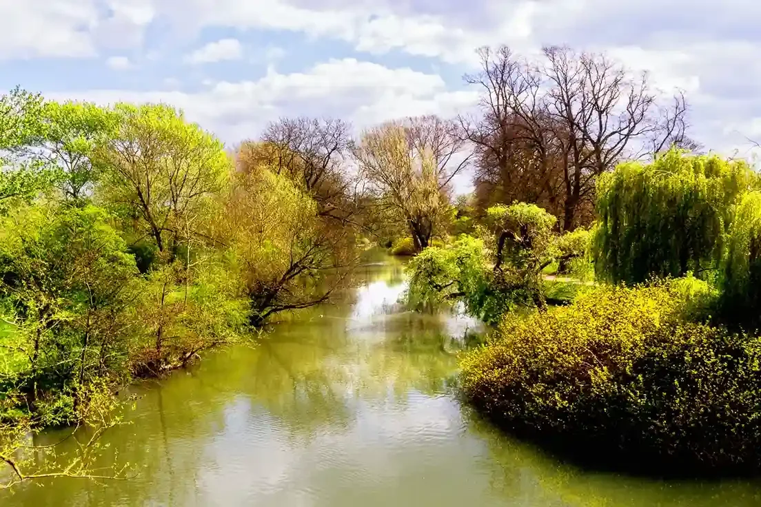 The Cherwell