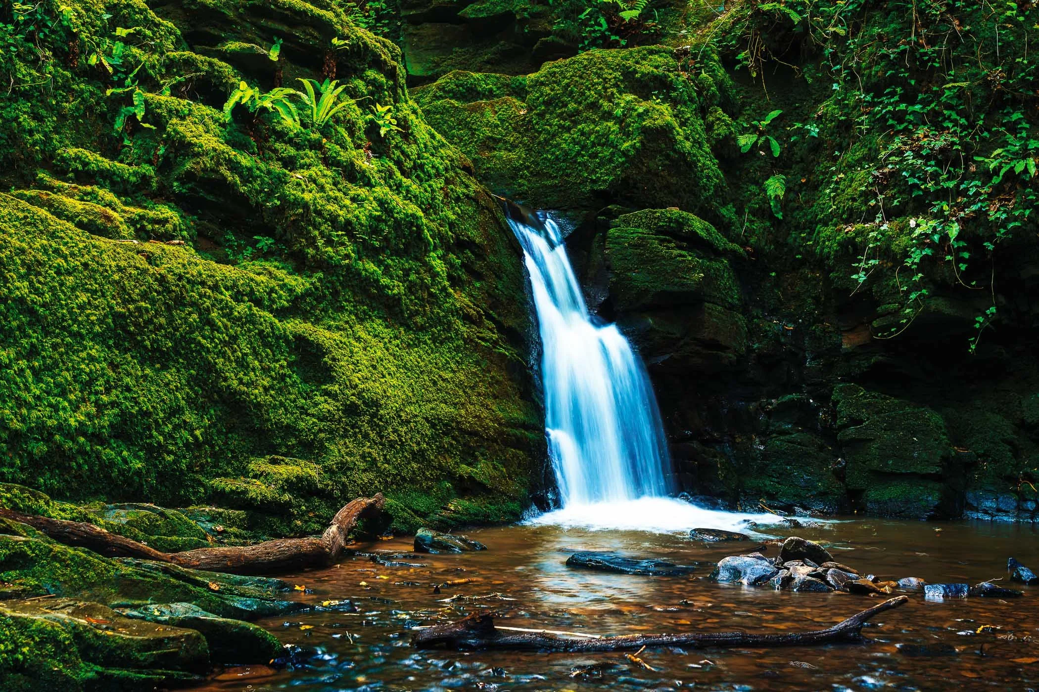 Hidden Waterfall in Greenfield Woods A secluded forest stream cascading gracefully over moss-covered rocks deep within the woods.