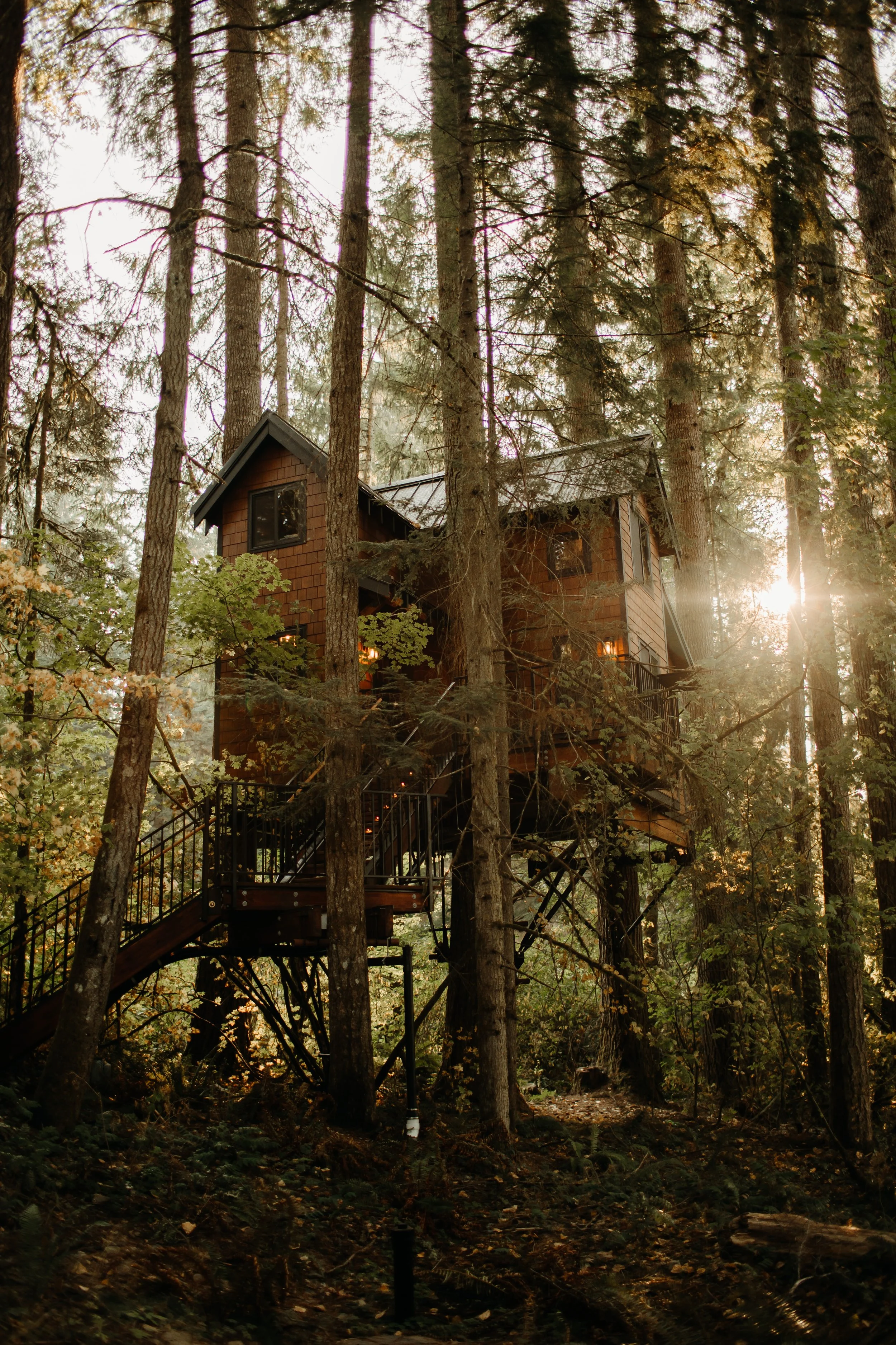 Elevated custom treehouse in Washington forest designed by luxury treehouse architect Americana Architects.