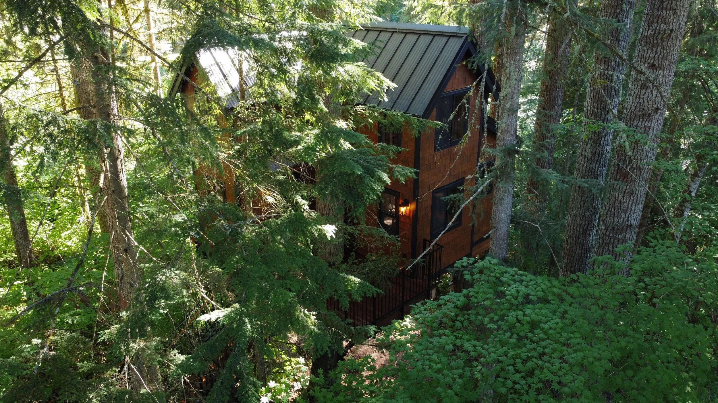 Elevated custom treehouse integrated into forest canopy designed by Washington treehouse architect Americana Architects.