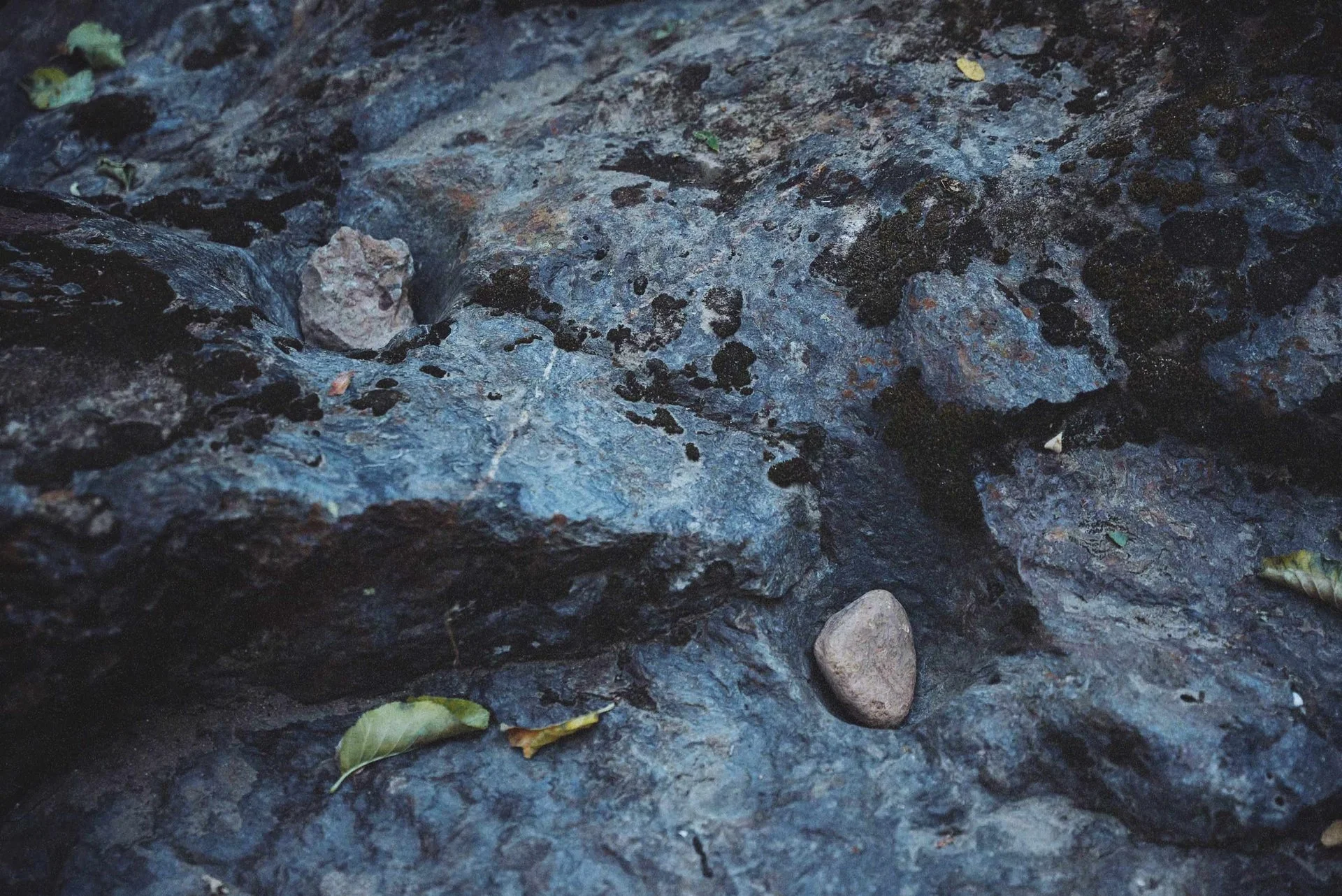 Close-up of wet, dark gray rocks with small yellow and green leaves scattered on the surface.