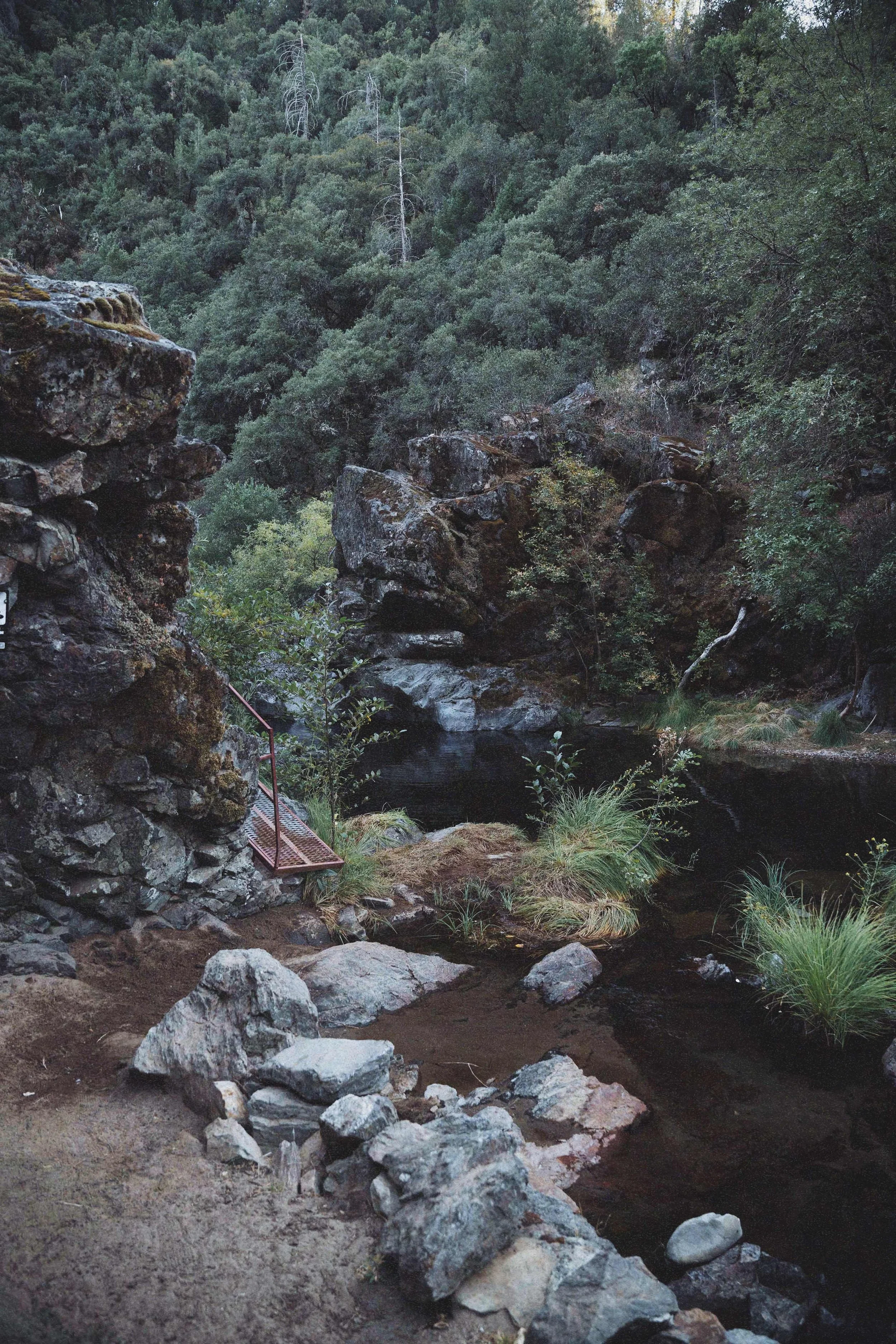 A natural outdoor scene featuring a rocky riverbank with water, surrounded by dense green forested hills with trees and bushes.