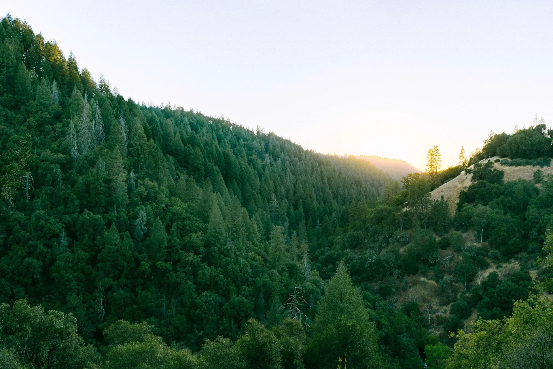 A scenic view of a lush green forested mountain landscape during sunset with sunlight peeking over the horizon.