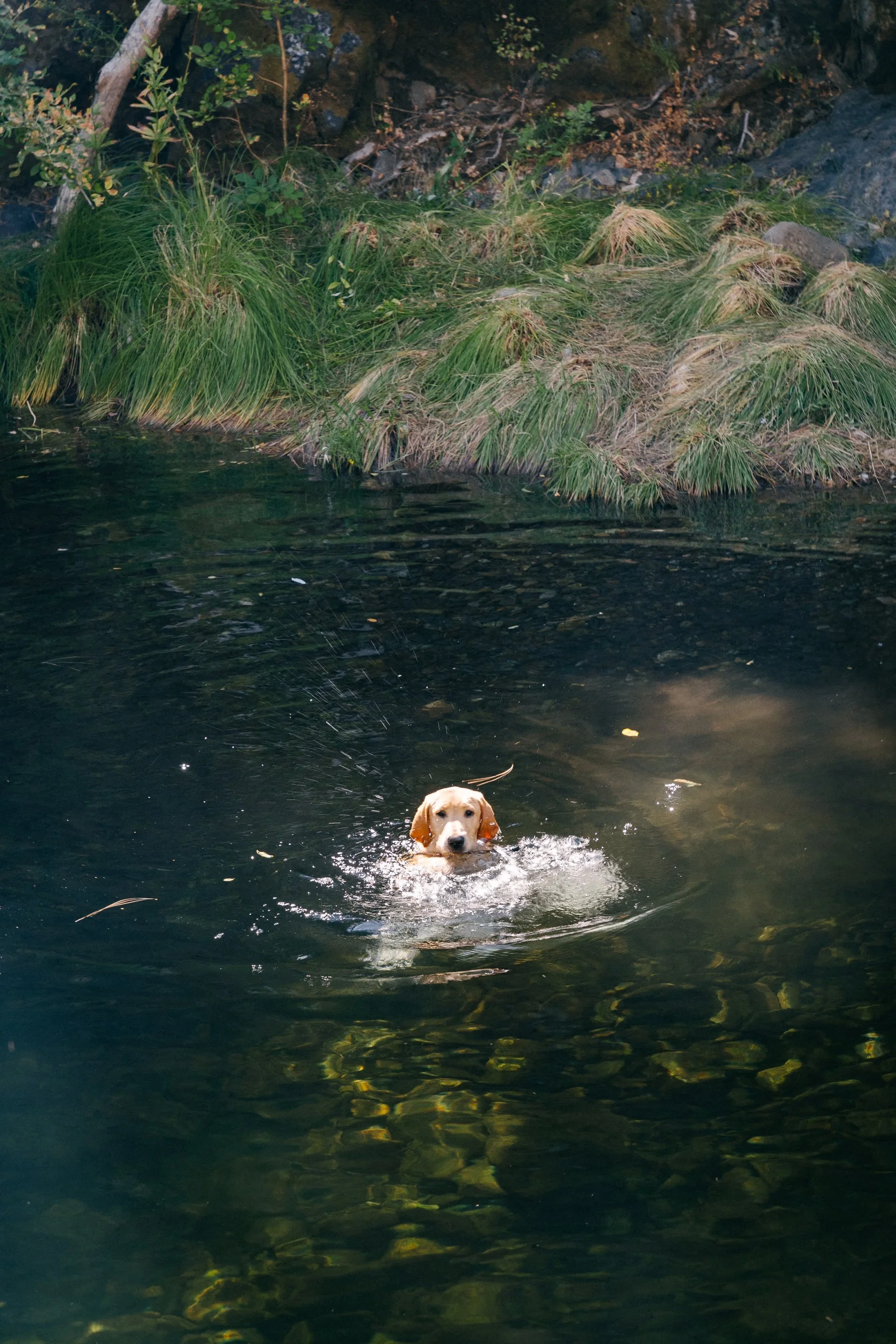 zgikpewqqjhzqvil7mbv (1).jpeg