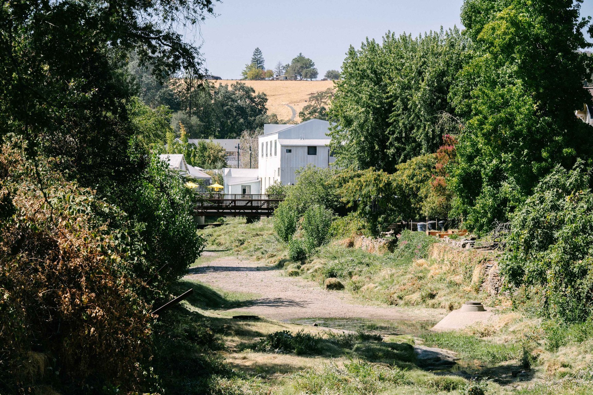 clifw1iznfcaeg16qc2y (1).jpeg