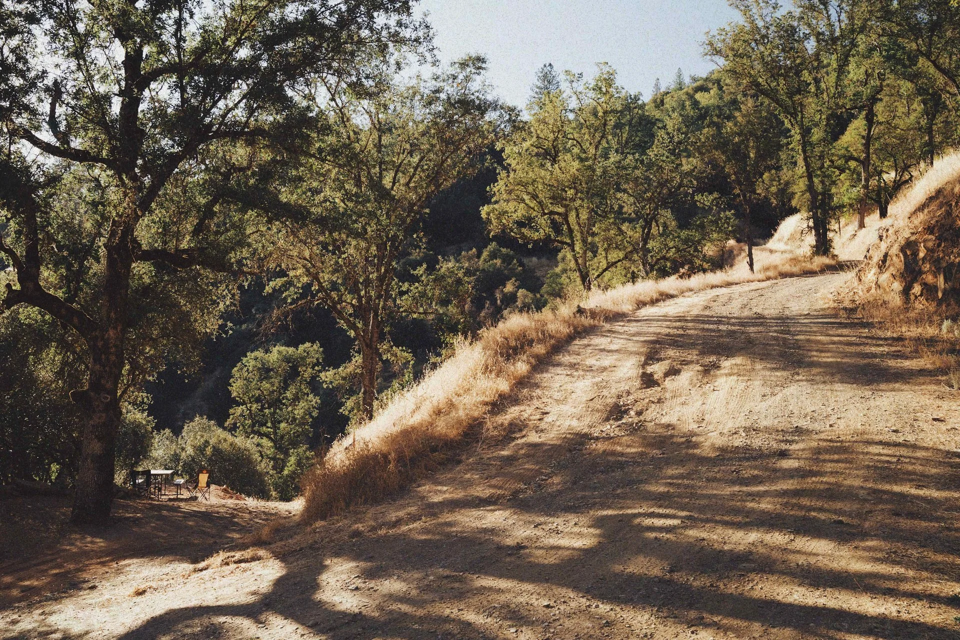 Dirt road winding through a wooded hillside, with trees casting shadows on the ground, in a natural outdoor setting