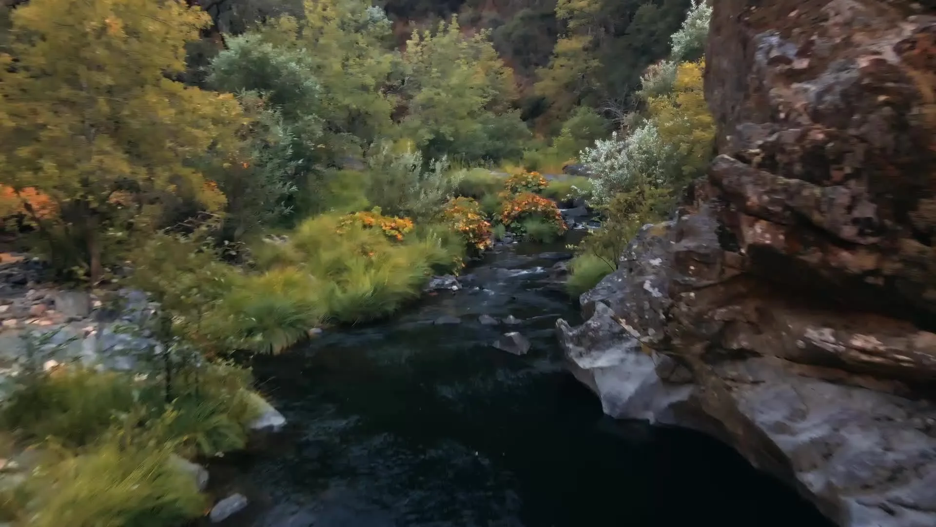 A river flowing through a lush green forest with colorful trees and rocks along the riverbank.