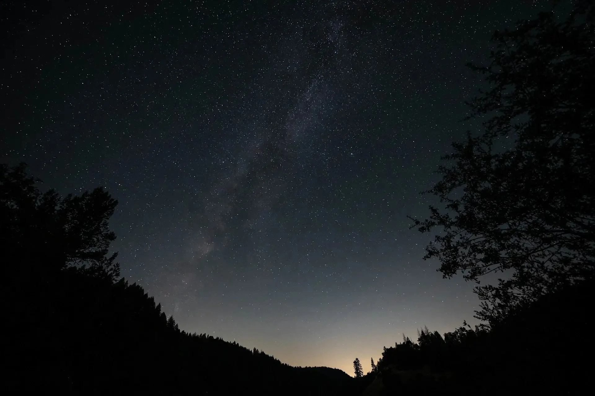 Nighttime sky filled with stars, silhouette of trees and mountains in the foreground.