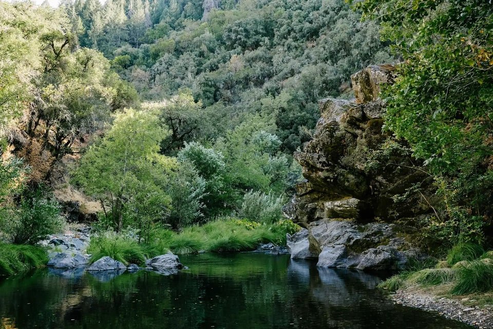 A river flowing through a forested canyon with lush green trees and rock formations.