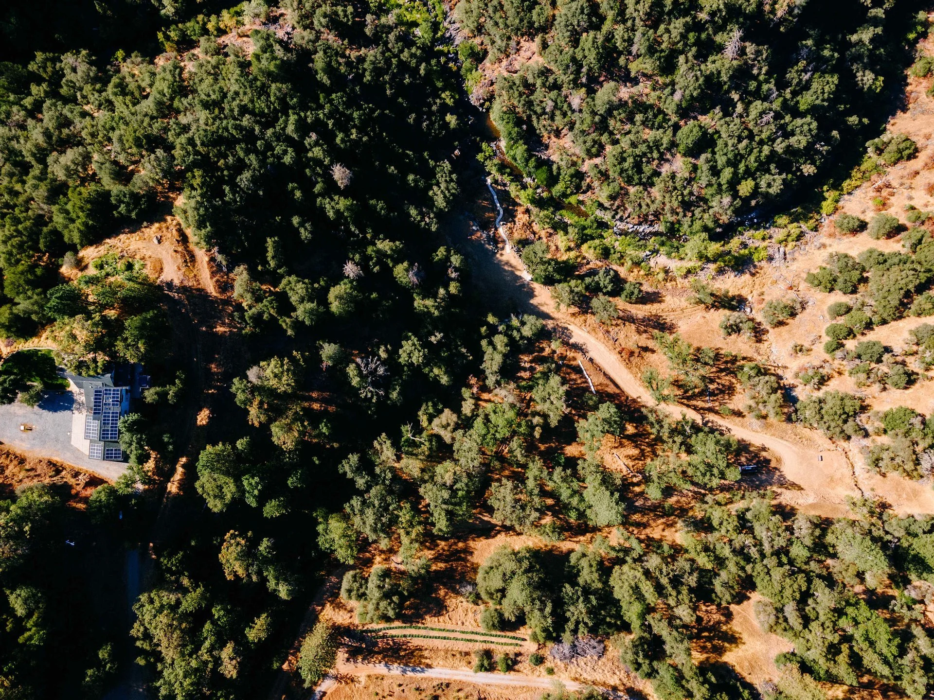Aerial view of a forested hillside with a dirt trail and a small building with solar panels on the roof.