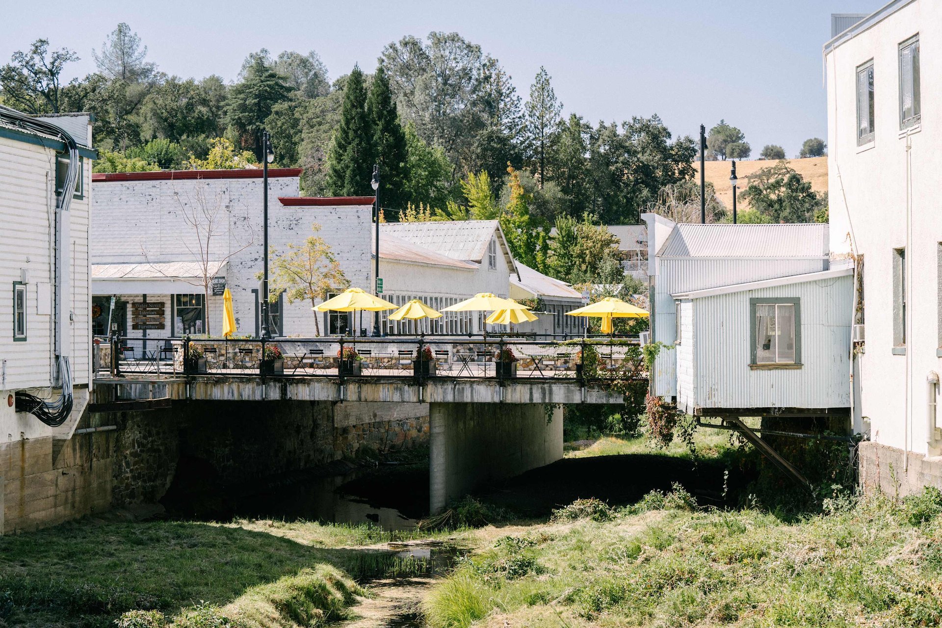 pp8lfqw1664a9nj8xhu7 (1).jpeg