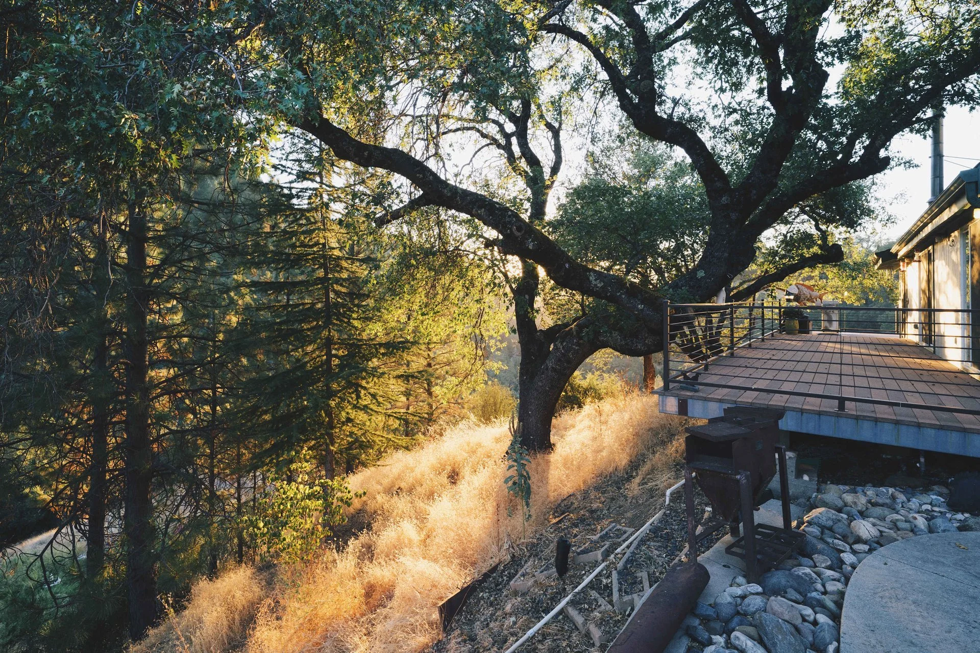 A wooden deck with black metal railing on a hillside, surrounded by trees and yellow grass, with a person leaning over the railing. Rocks and a charcoal grill are visible in the foreground.
