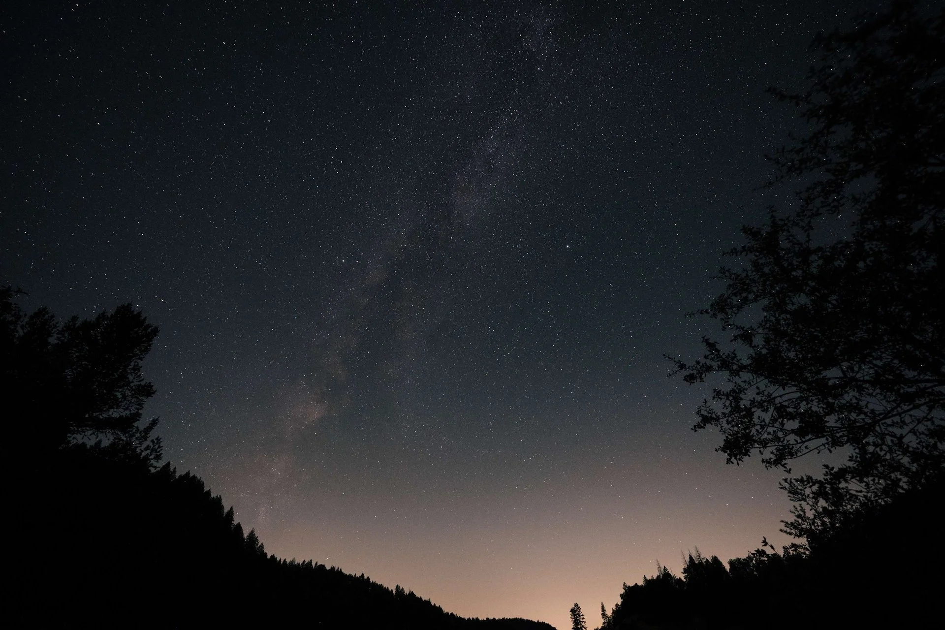 Night sky filled with stars and the Milky Way galaxy, with silhouettes of trees and mountains in the foreground.